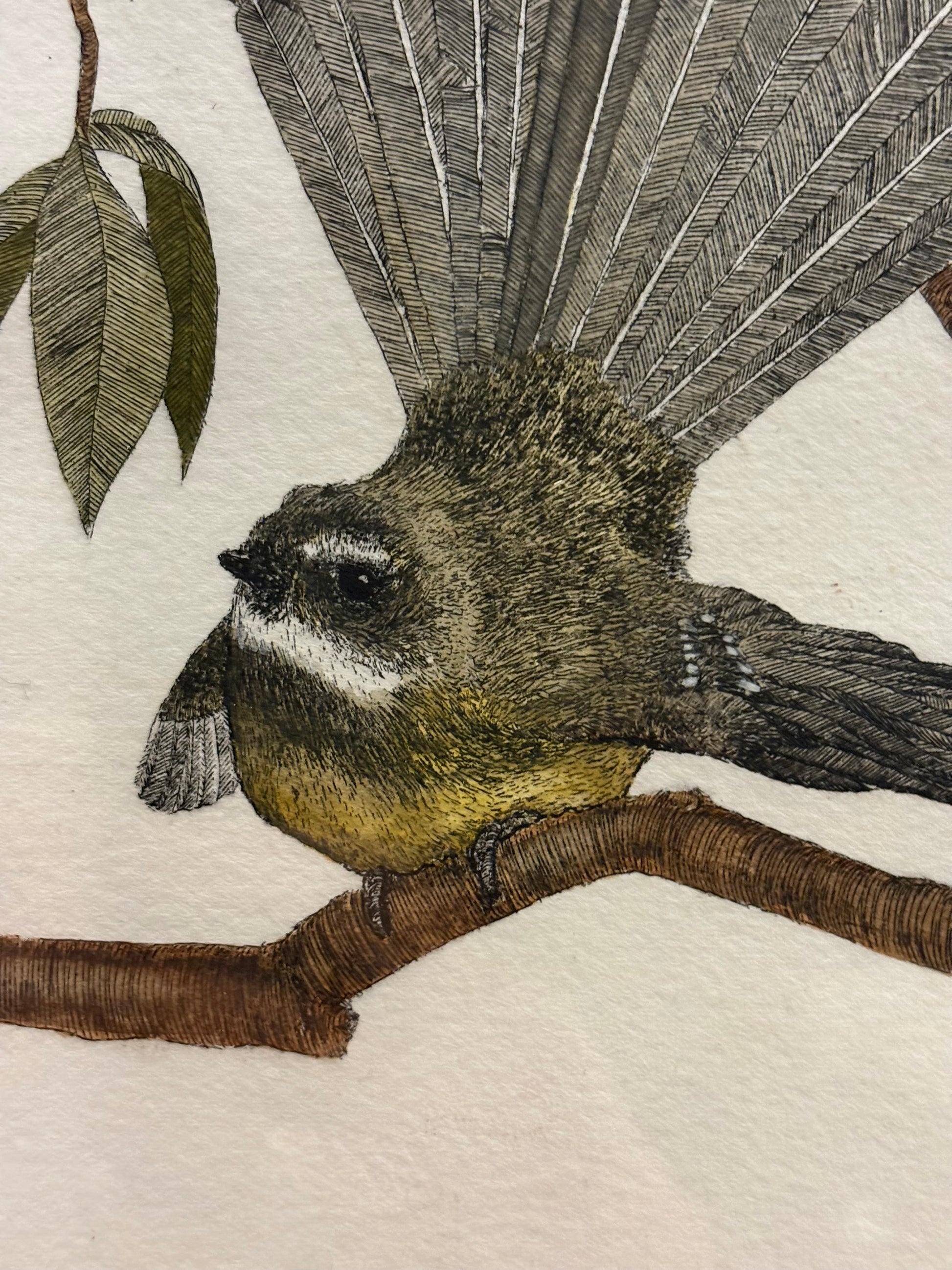 Original hand-coloured etching, Angus Fisher, Fantails, gilt framed art