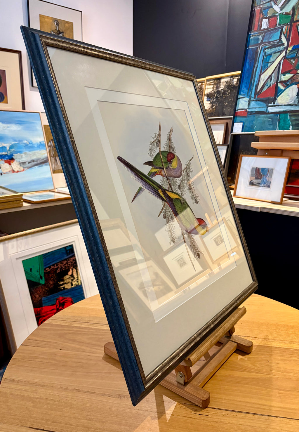 1989 Authentic limited edition 64/500 Gould print, Parakeet, vintage art