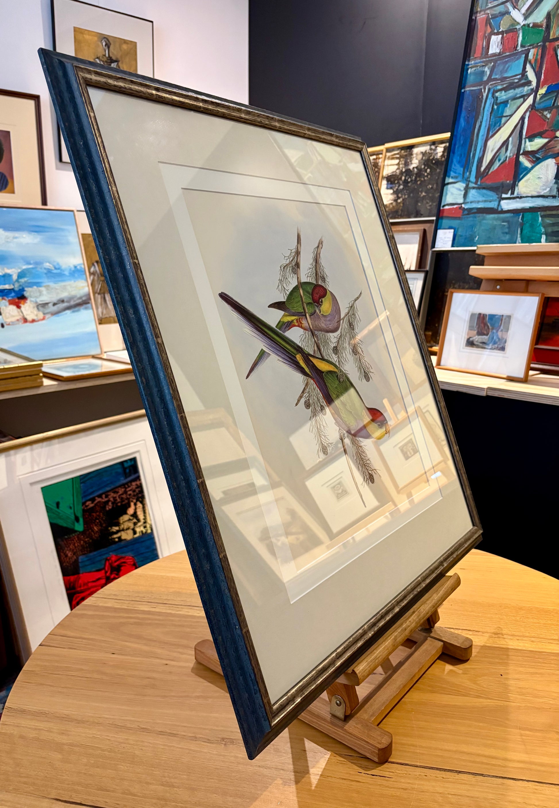 1989 Authentic limited edition 64/500 Gould print, Parakeet, vintage art