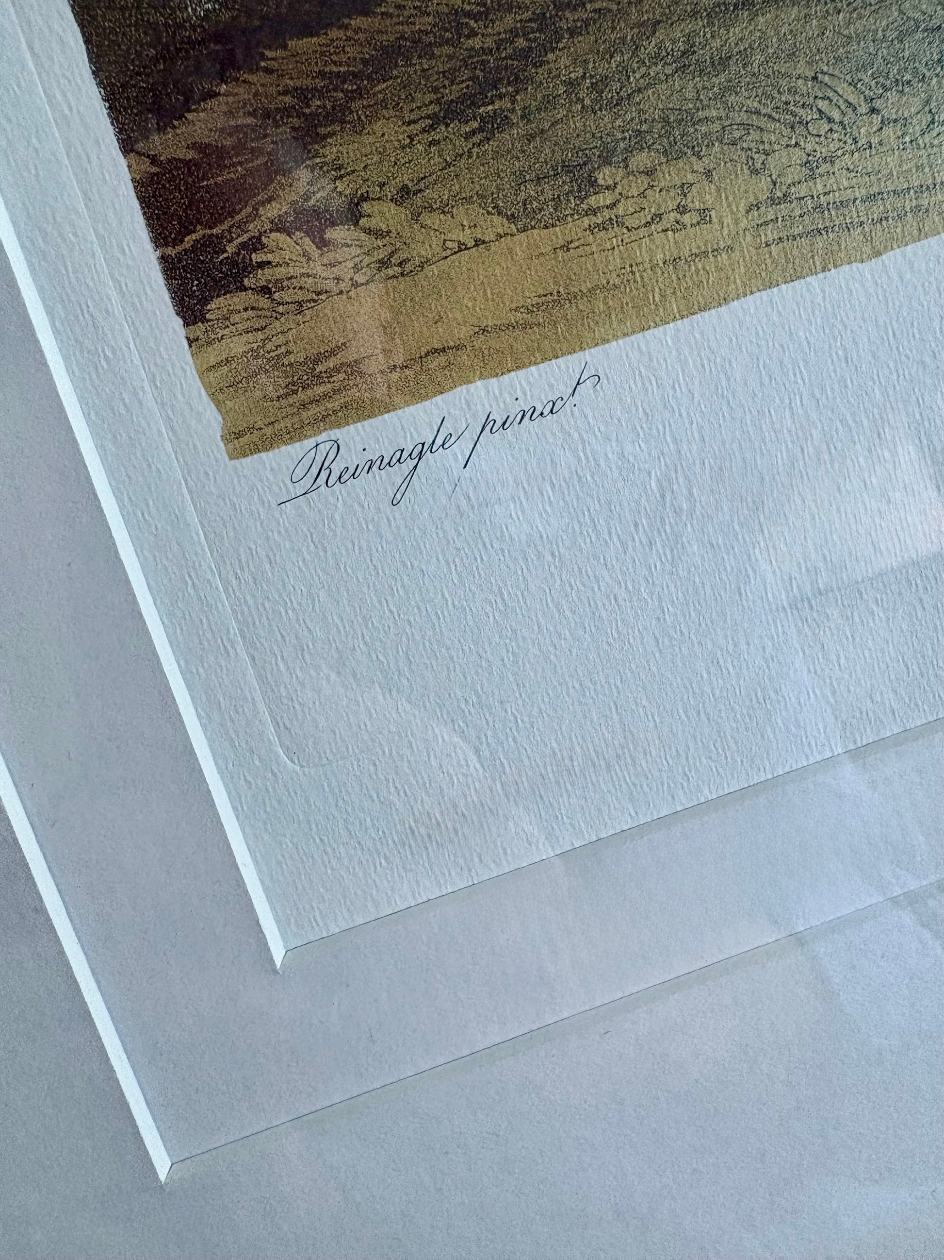 Framed large Lily print, Temple of Flora, Robert Thornton, quality framed art