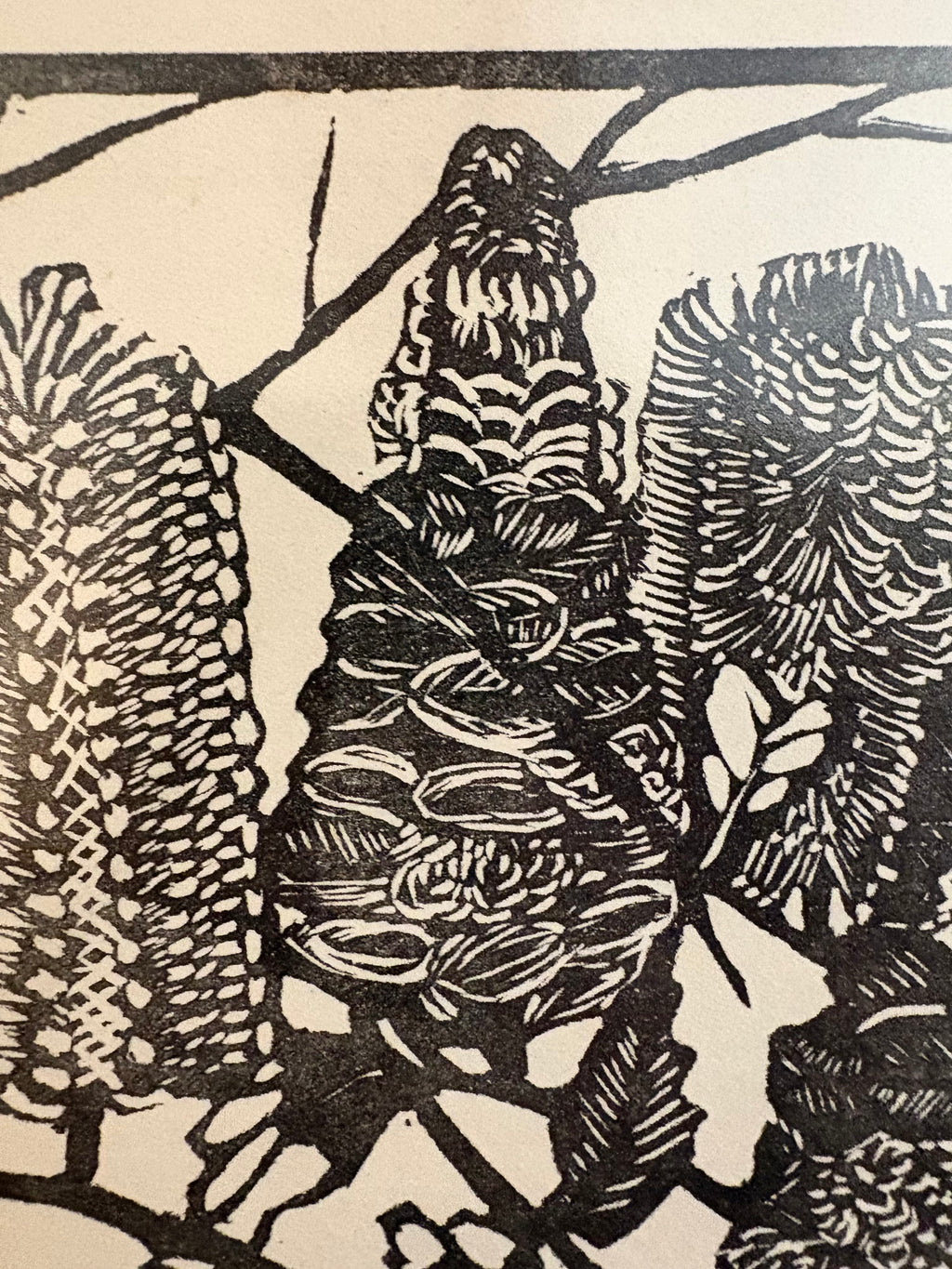 1932 Original Margaret Preston woodblock print, “Banksia”, framed antique vintage art