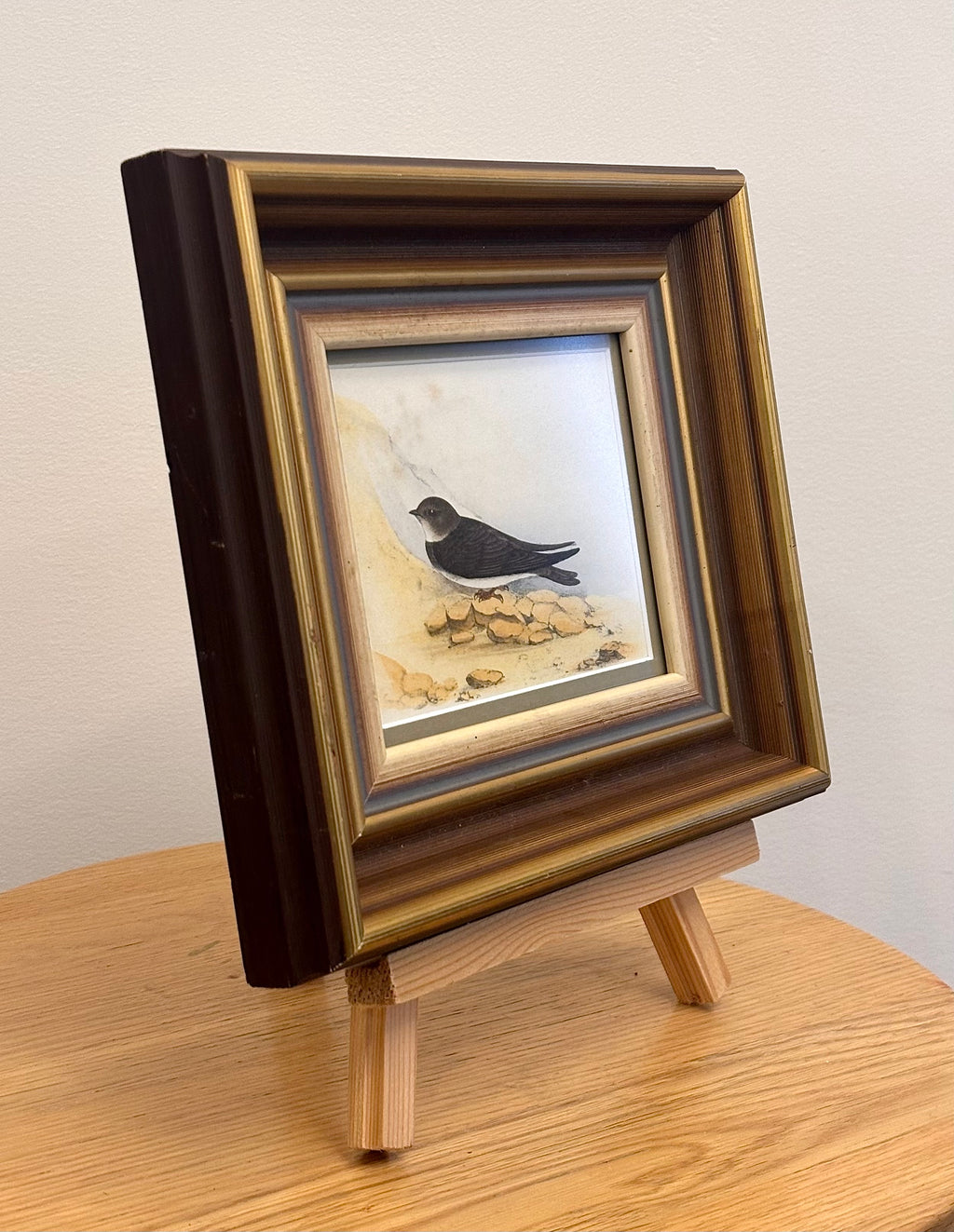 1850s Genuine antique, bird engraving, hand coloured, framed original vintage art