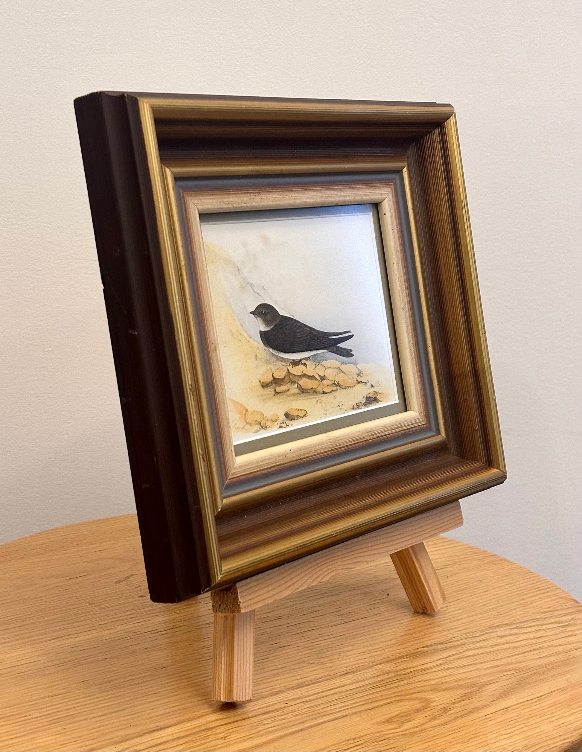 1850s Genuine antique, bird engraving, hand coloured, framed original vintage art