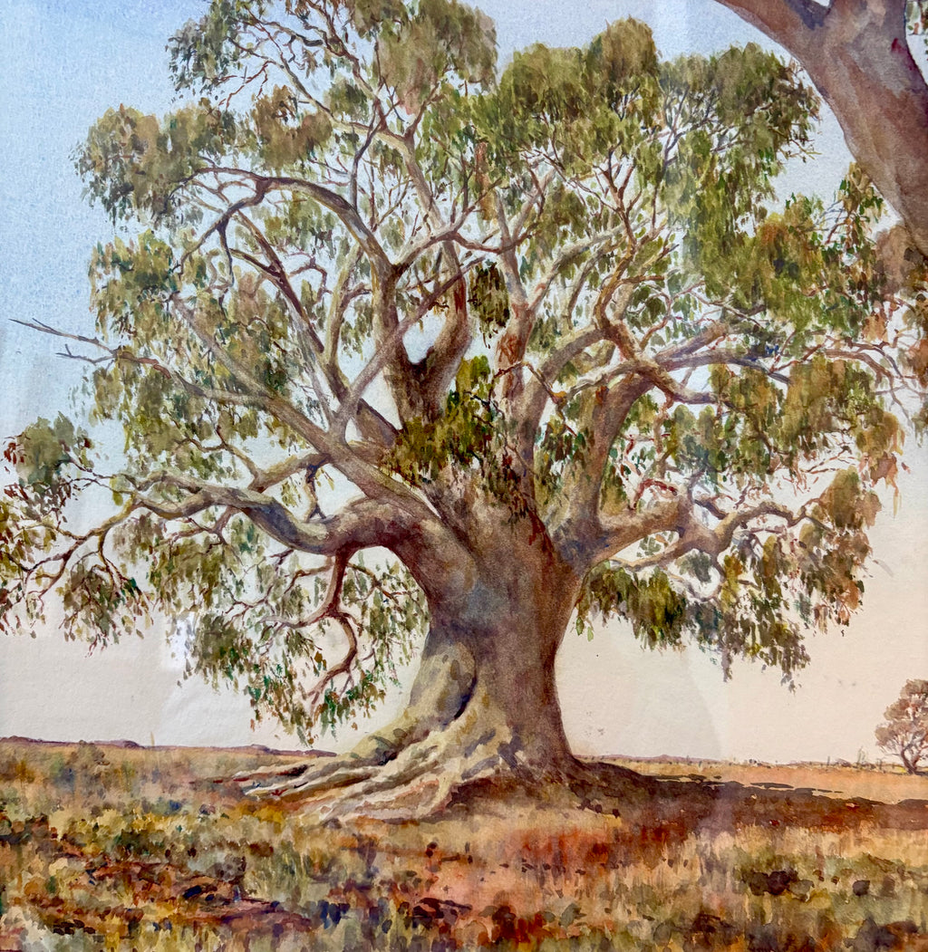 Original Australian watercolour painting, John Flexmore, gum trees, vintage framed art