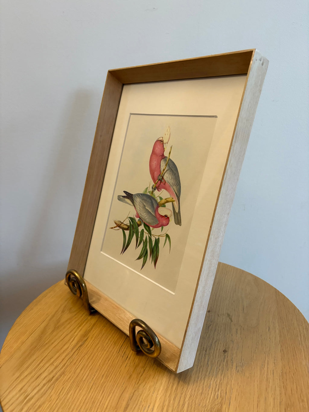 Miniature Gould "Birds of Australia" 1948 print of Galahs, vintage framed art
