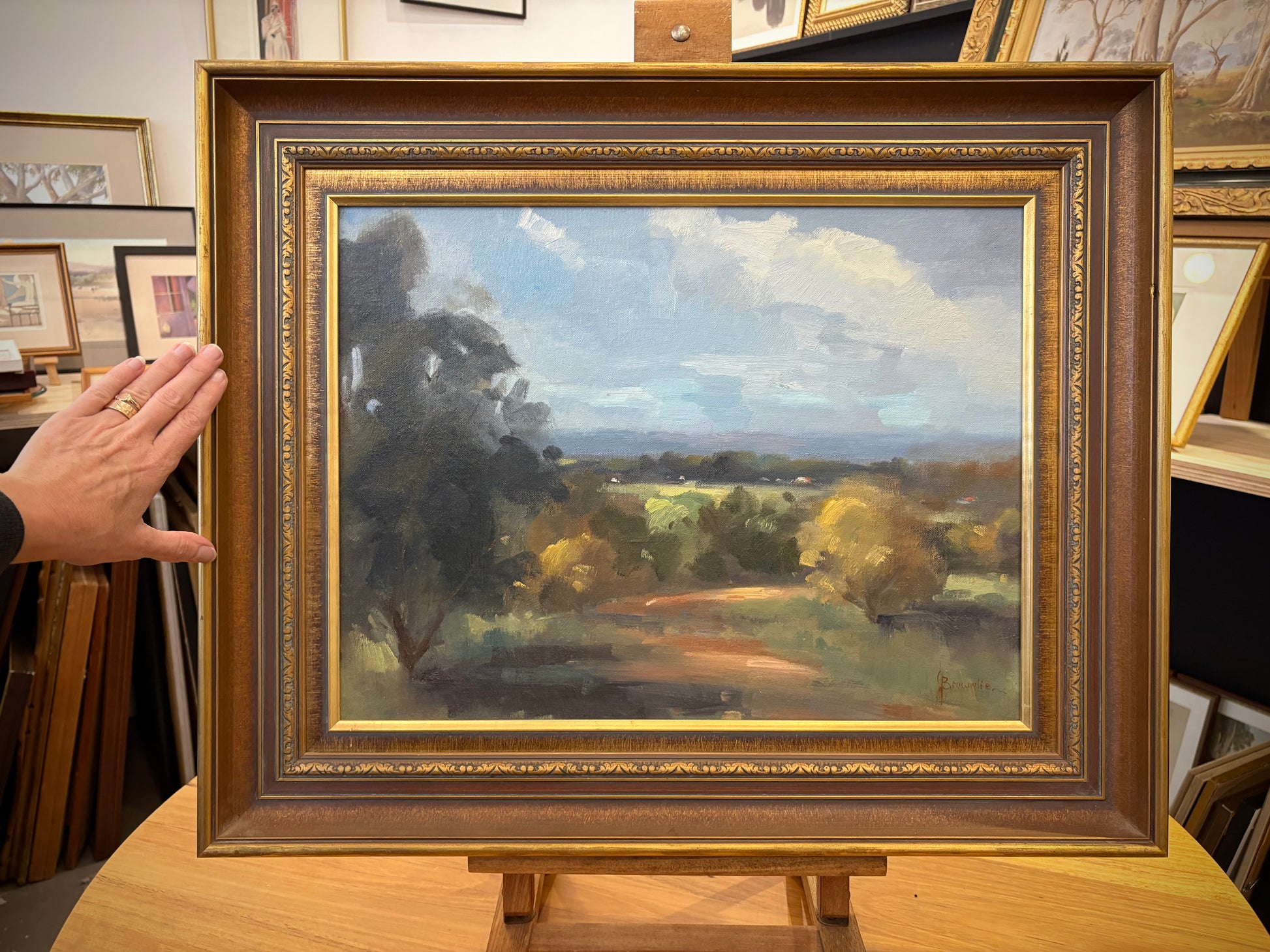Original Judy Brownlie oil painting, landscape, NSW, framed vintage art
