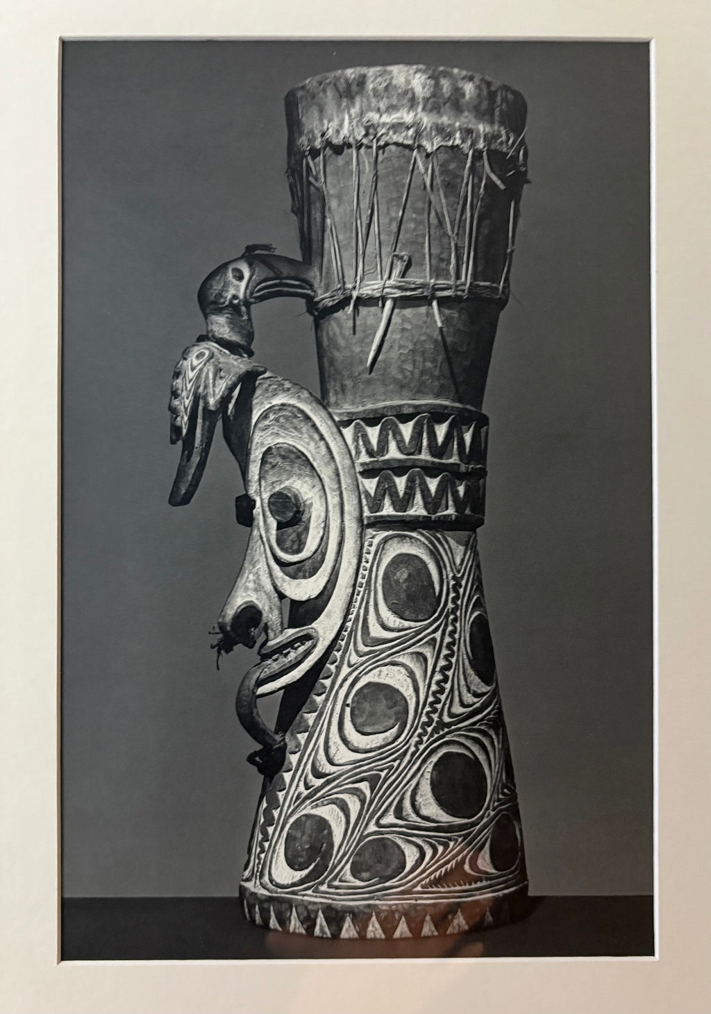 1960s vintage print, black and white photograph, mid century, bird, framed art