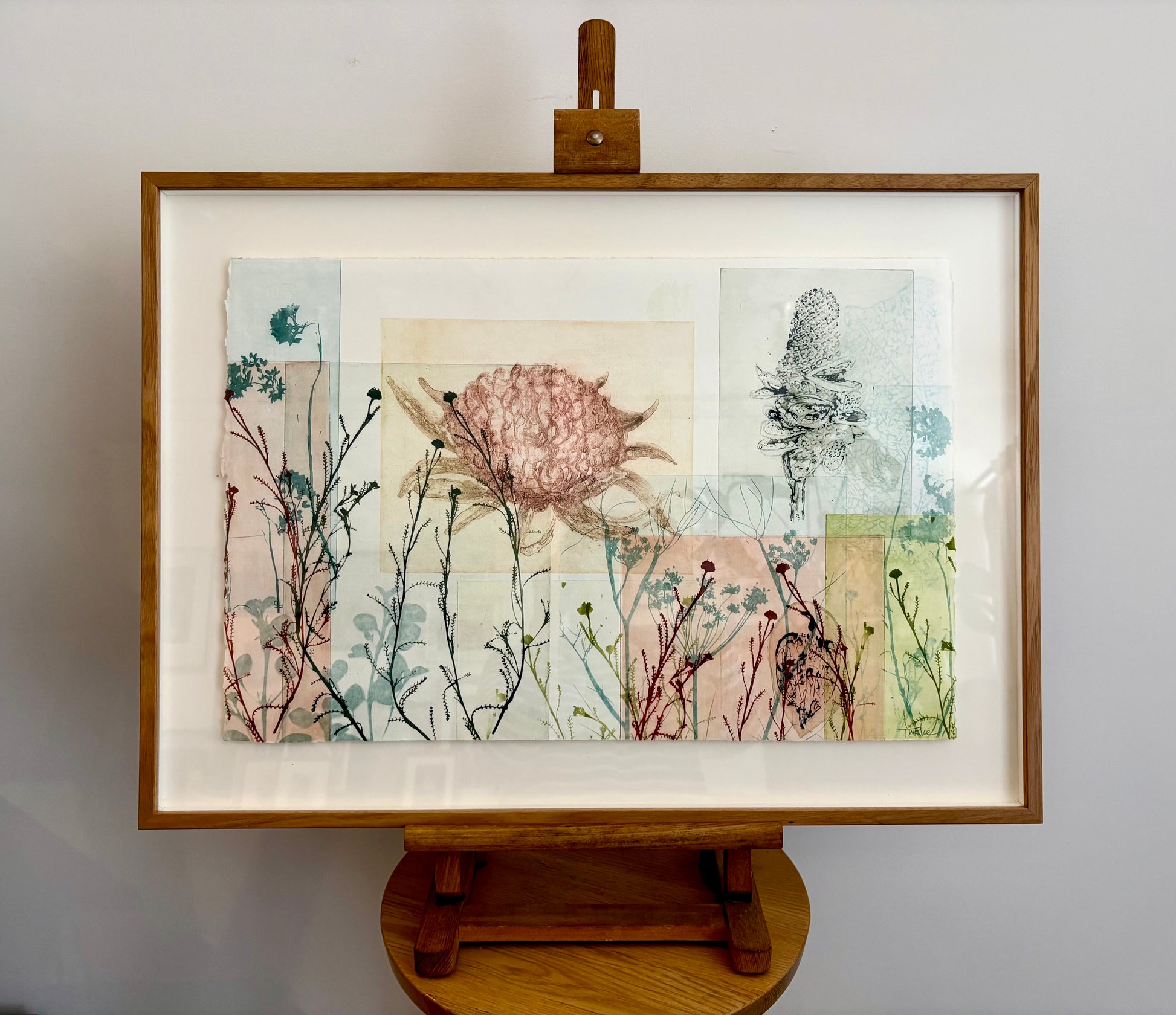 Original Trudy Rice botanical artwork, “Banksias”, signed, framed