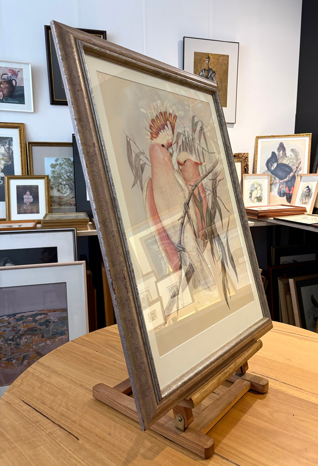 1989 Authentic limited Edition Gould print, Pink Cockatoo, vintage art