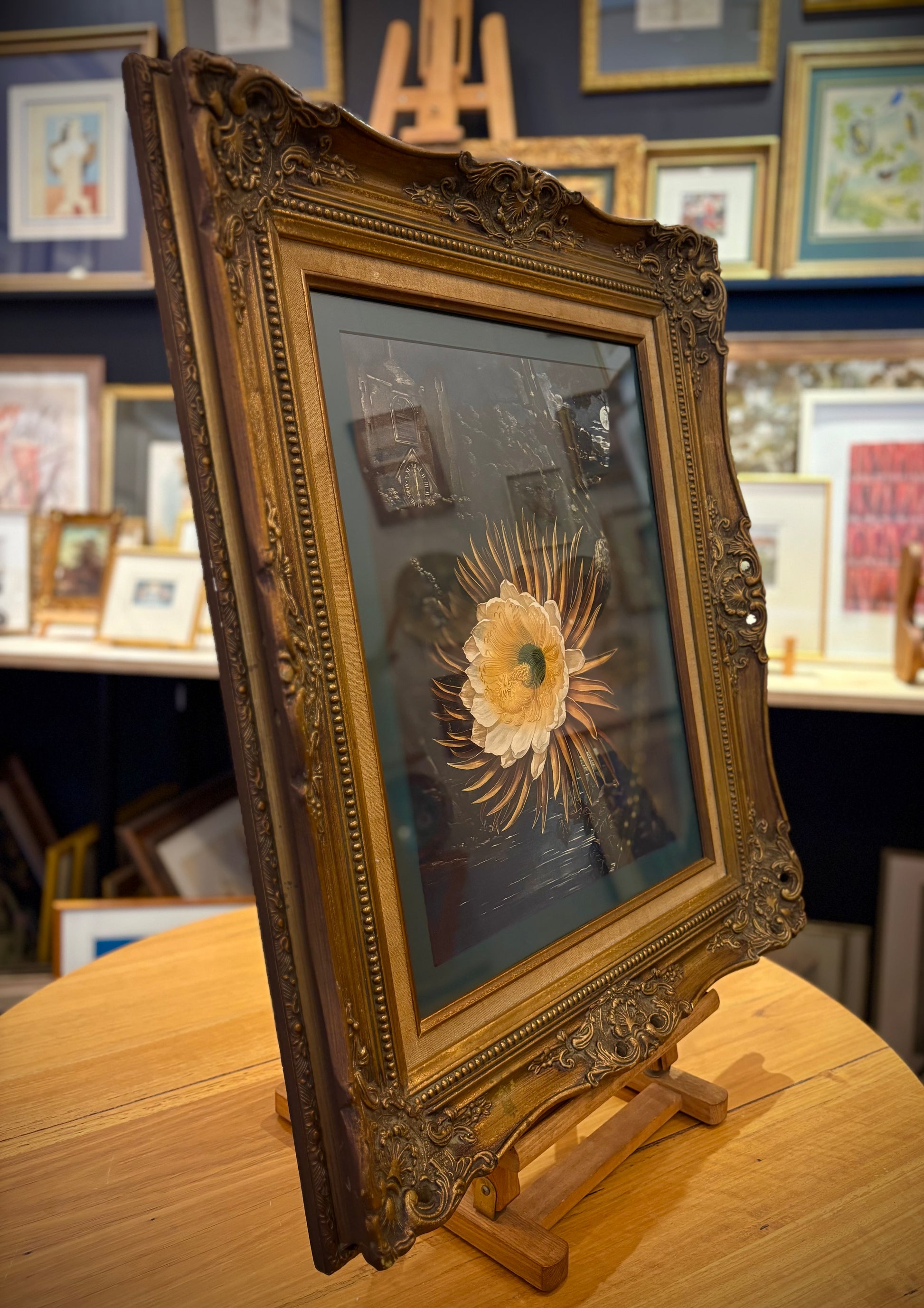 Gilt framed large high quality Temple of Flora print, Robert Thornton, framed art