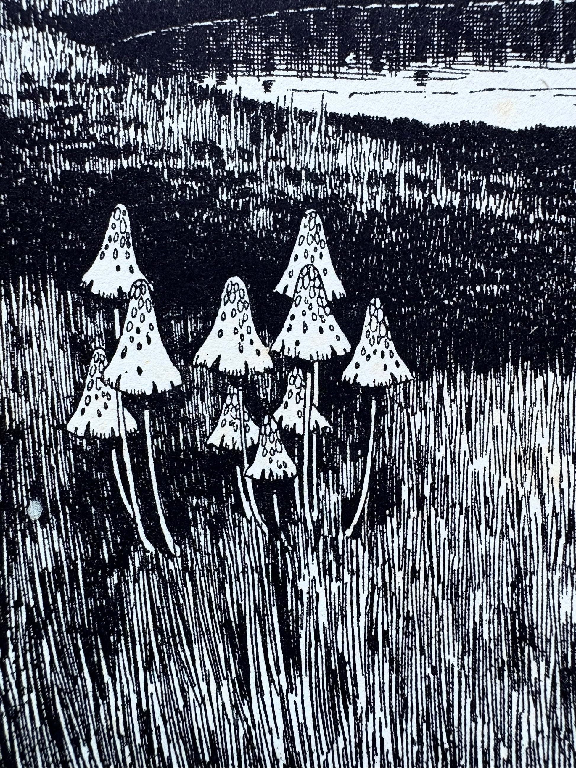 1931 Authentic antique Ida Rentoul Outhwaite print "Fairyland", 1st Edition UK, fairy, frogs, art deco