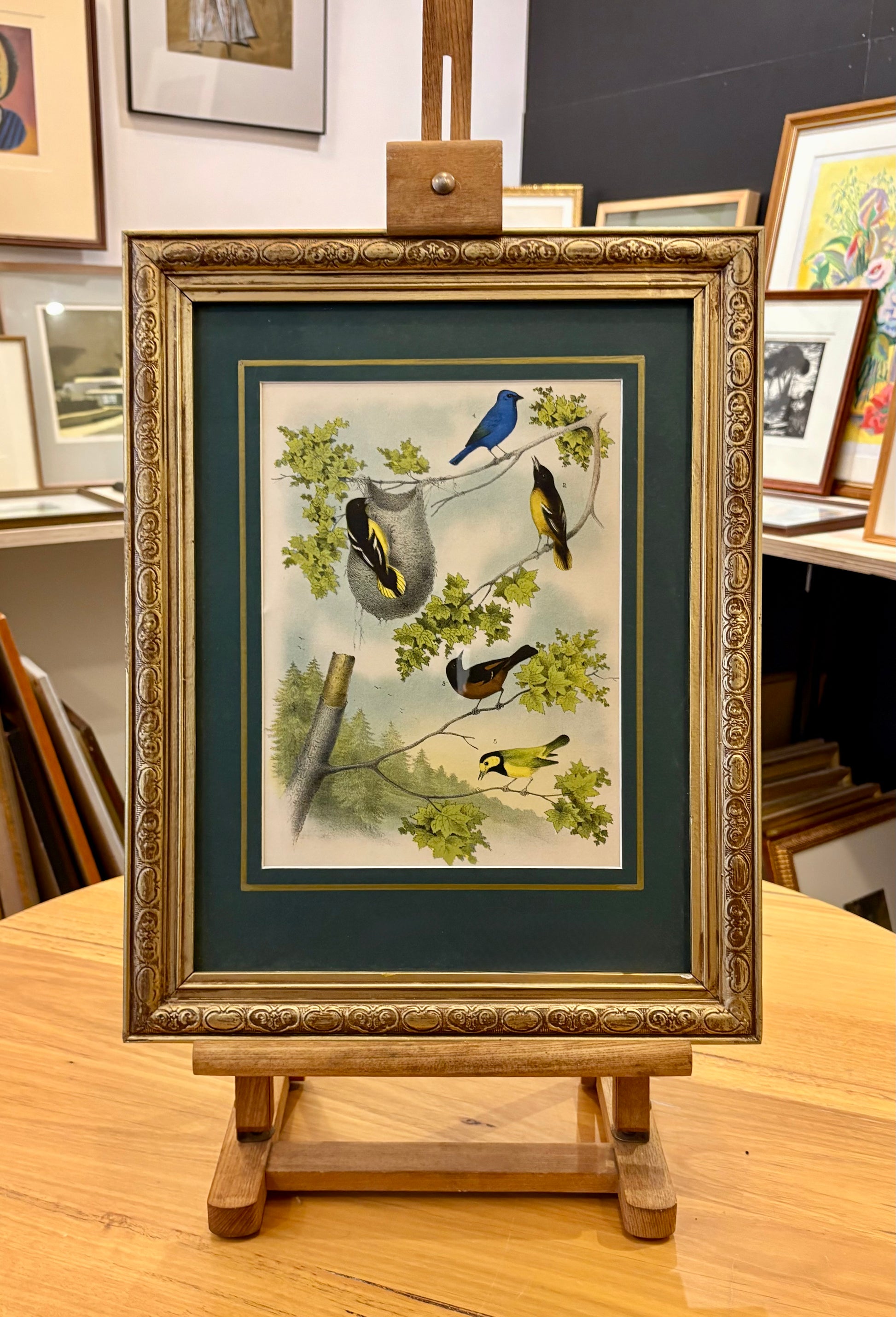 1870s Genuine antique, Birds, chromolithograph, gilt frame, original vintage art