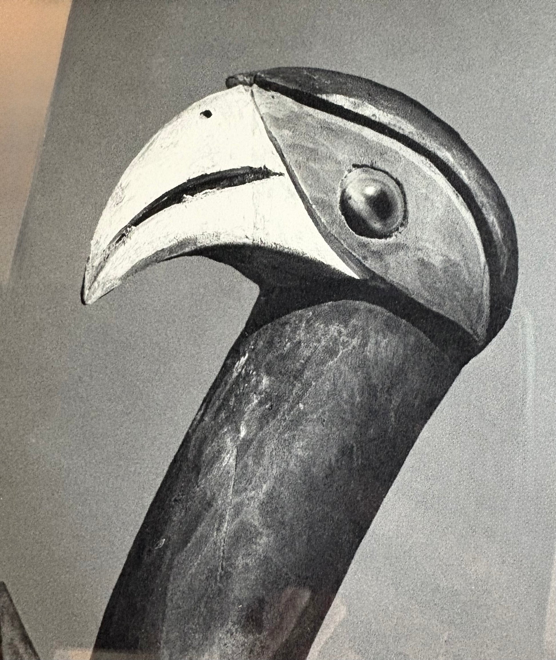 1962 vintage print, black and white photograph, mid century, bird, framed art