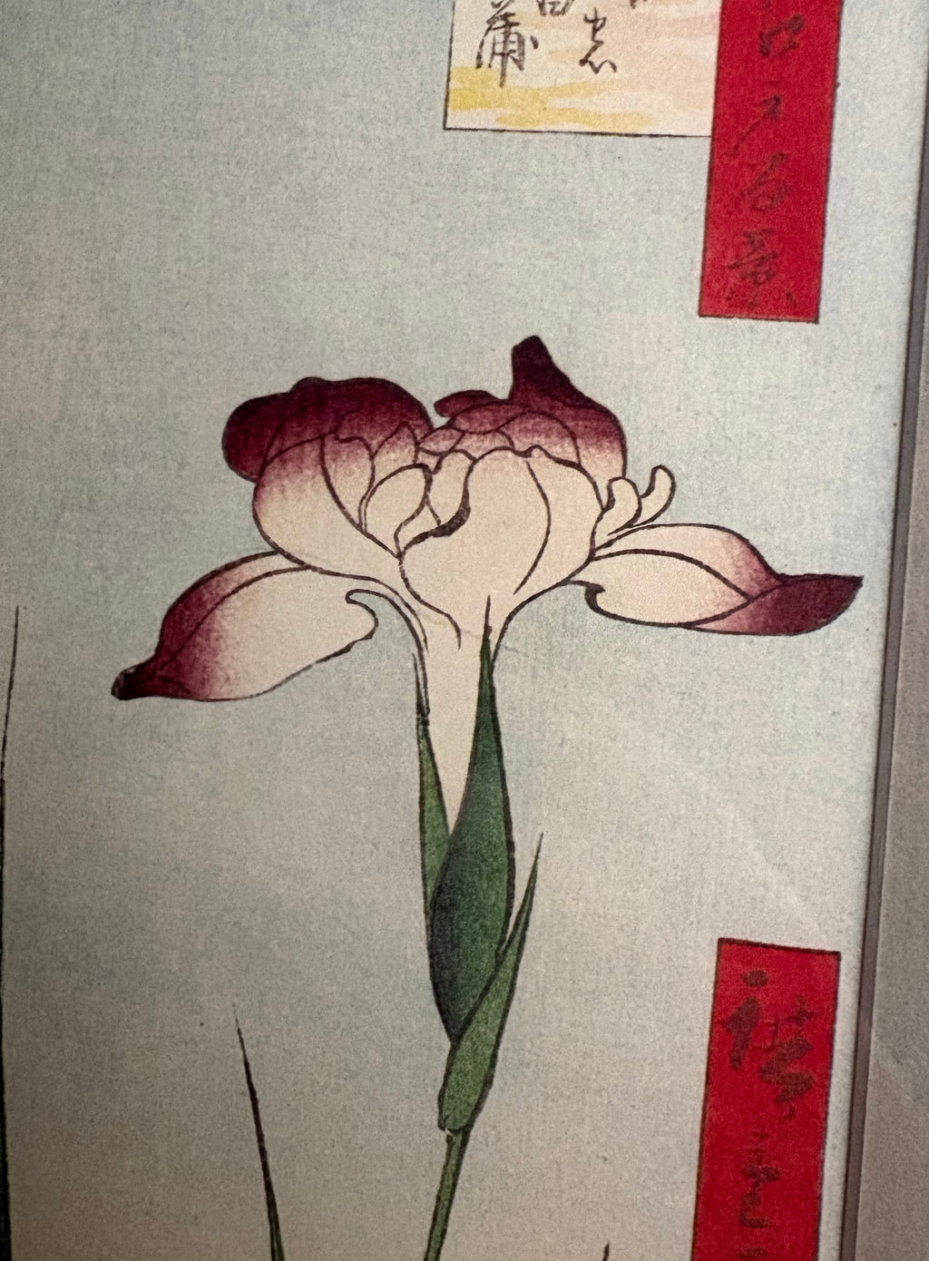 1978 Japanese print after Hiroshige’s woodblock artwork, framed vintage wall art, Iris flower