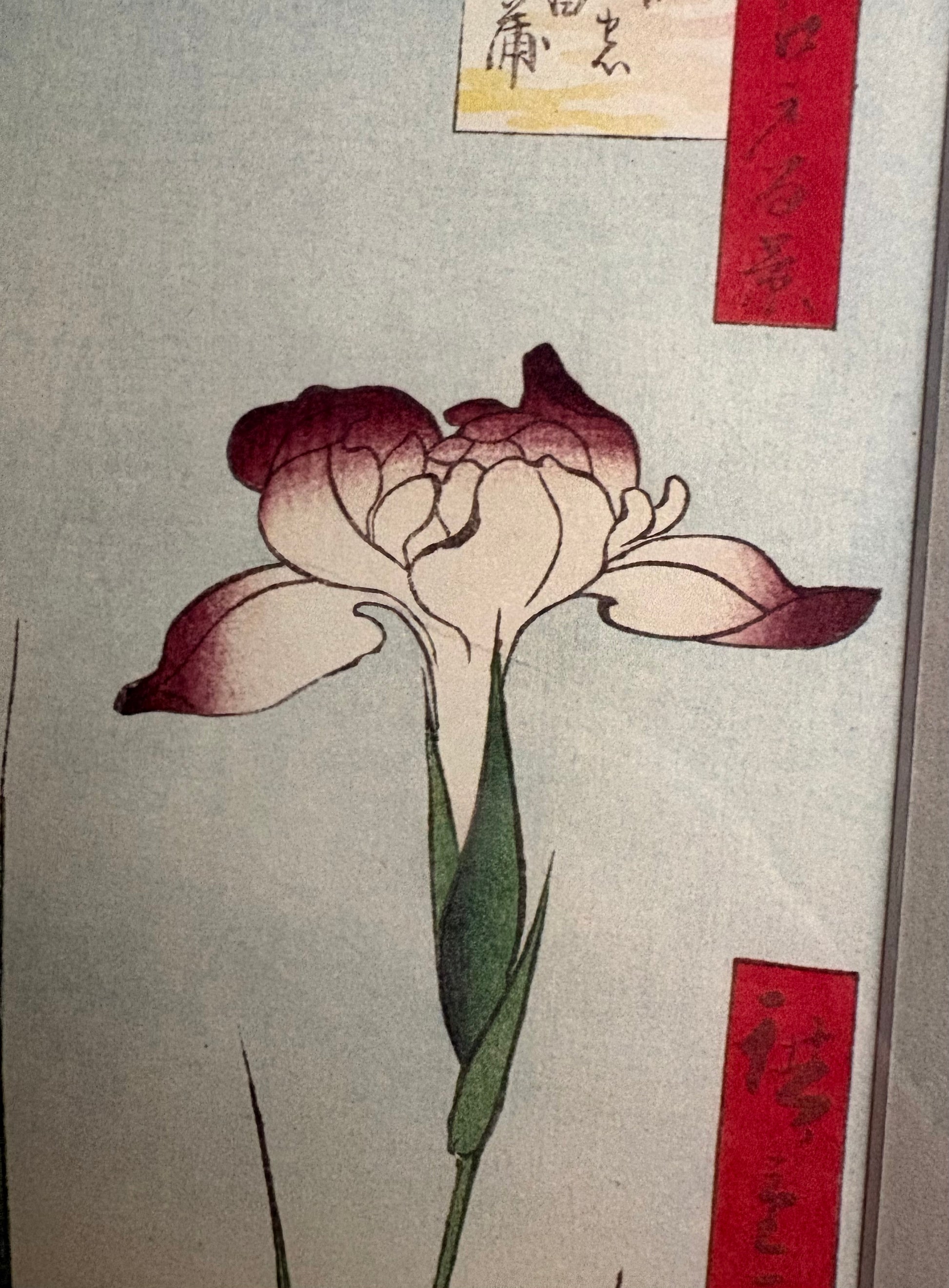 1978 Japanese print after Hiroshige’s woodblock artwork, framed vintage wall art, Iris flower