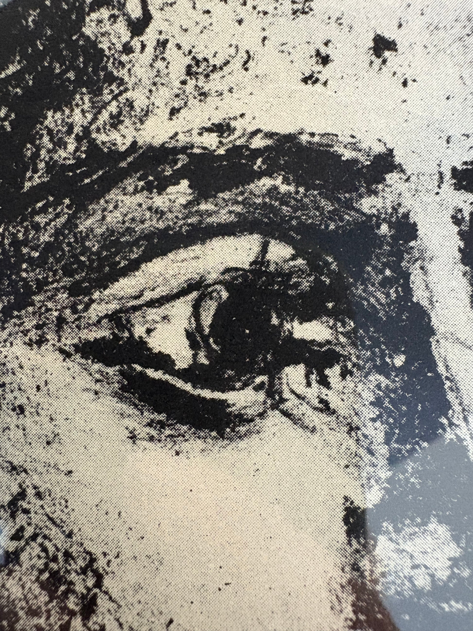 1950s Picasso Lithographic poster, mid century, framed vintage art