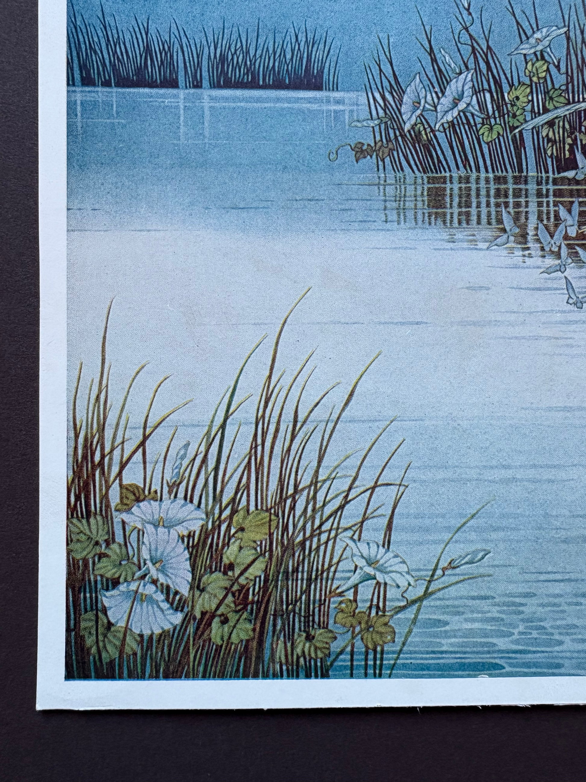 1931 Authentic antique Ida Rentoul Outhwaite print "Fairyland", 1st Edition UK, shell, fairy