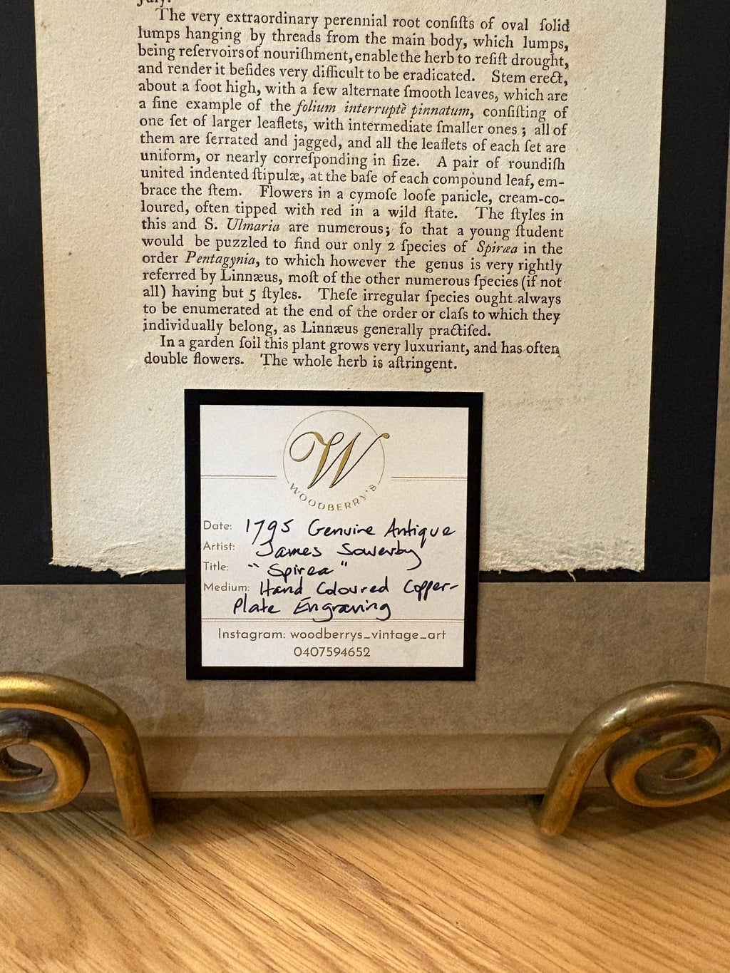 1795 Genuine antique botanical art engraving, hand painted, framed art, flower