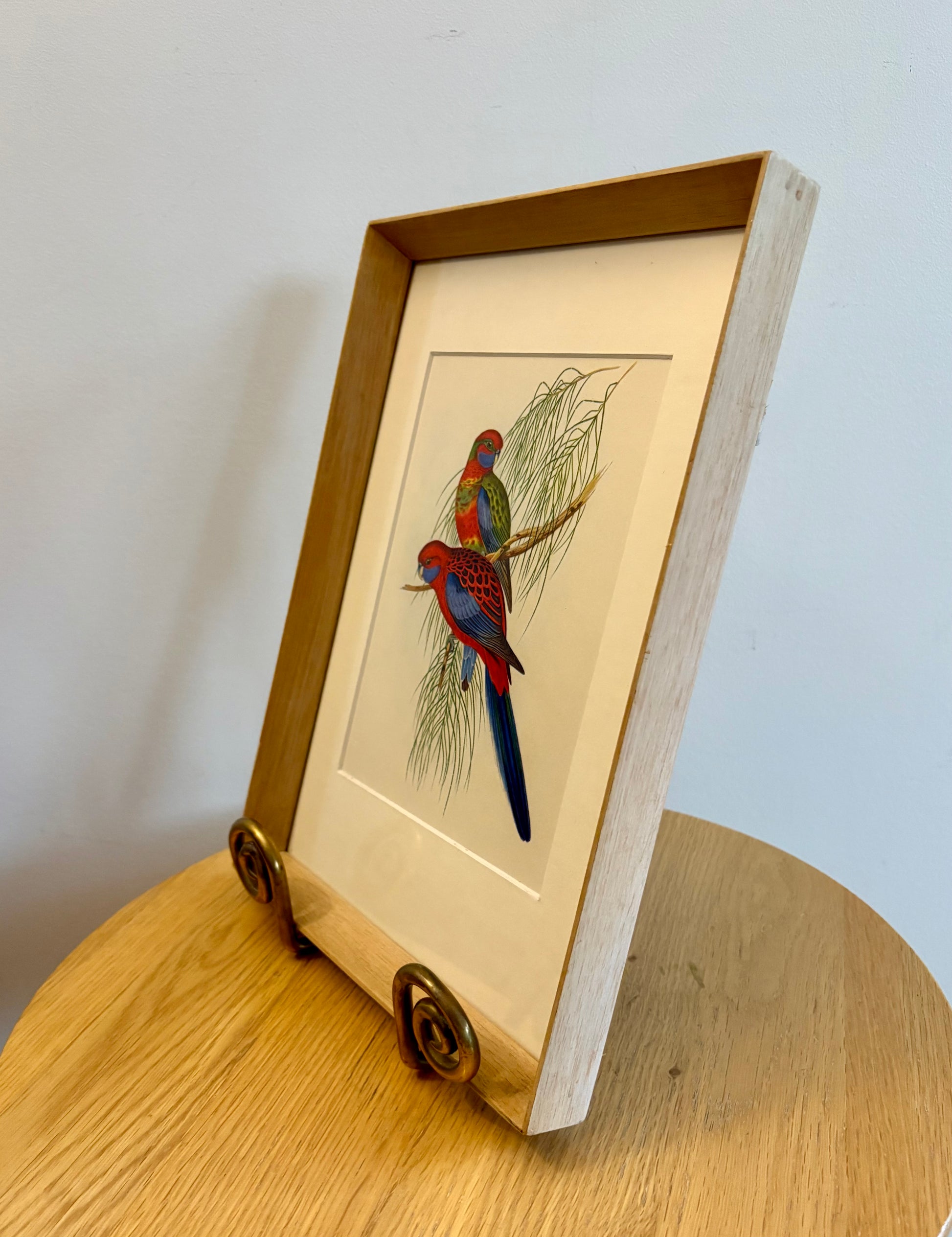 Miniature Gould "Birds of Australia" 1948 print of Rosellas, vintage framed art