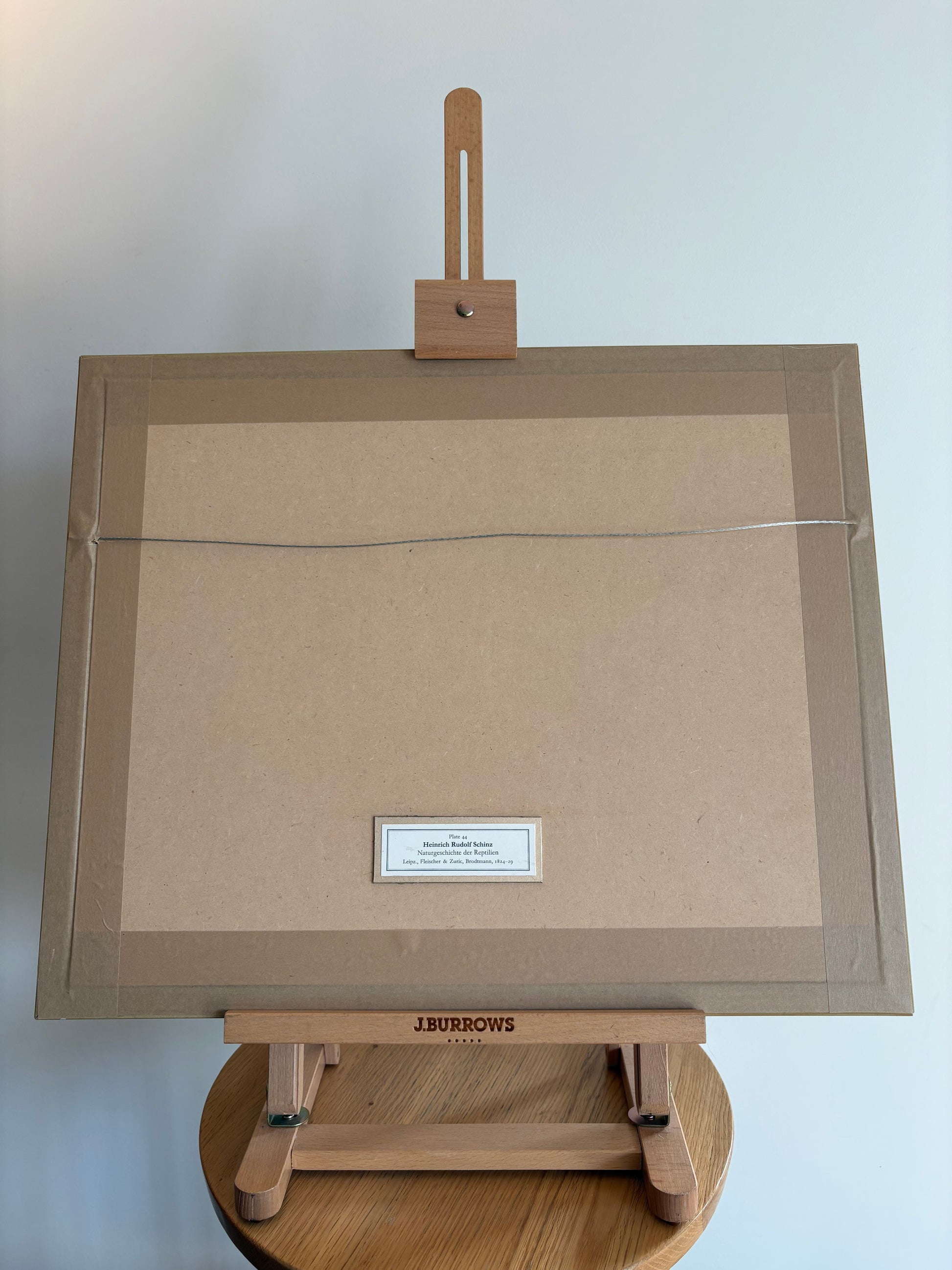 1820s original copperplate engraving, Cobra, snake, hand-coloured, antique framed art