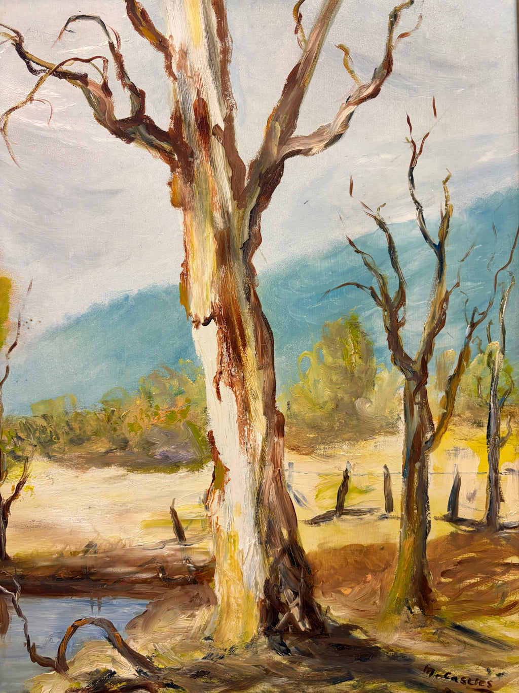 Mid Century original oil painting, River Gums, Australian landscape artwork