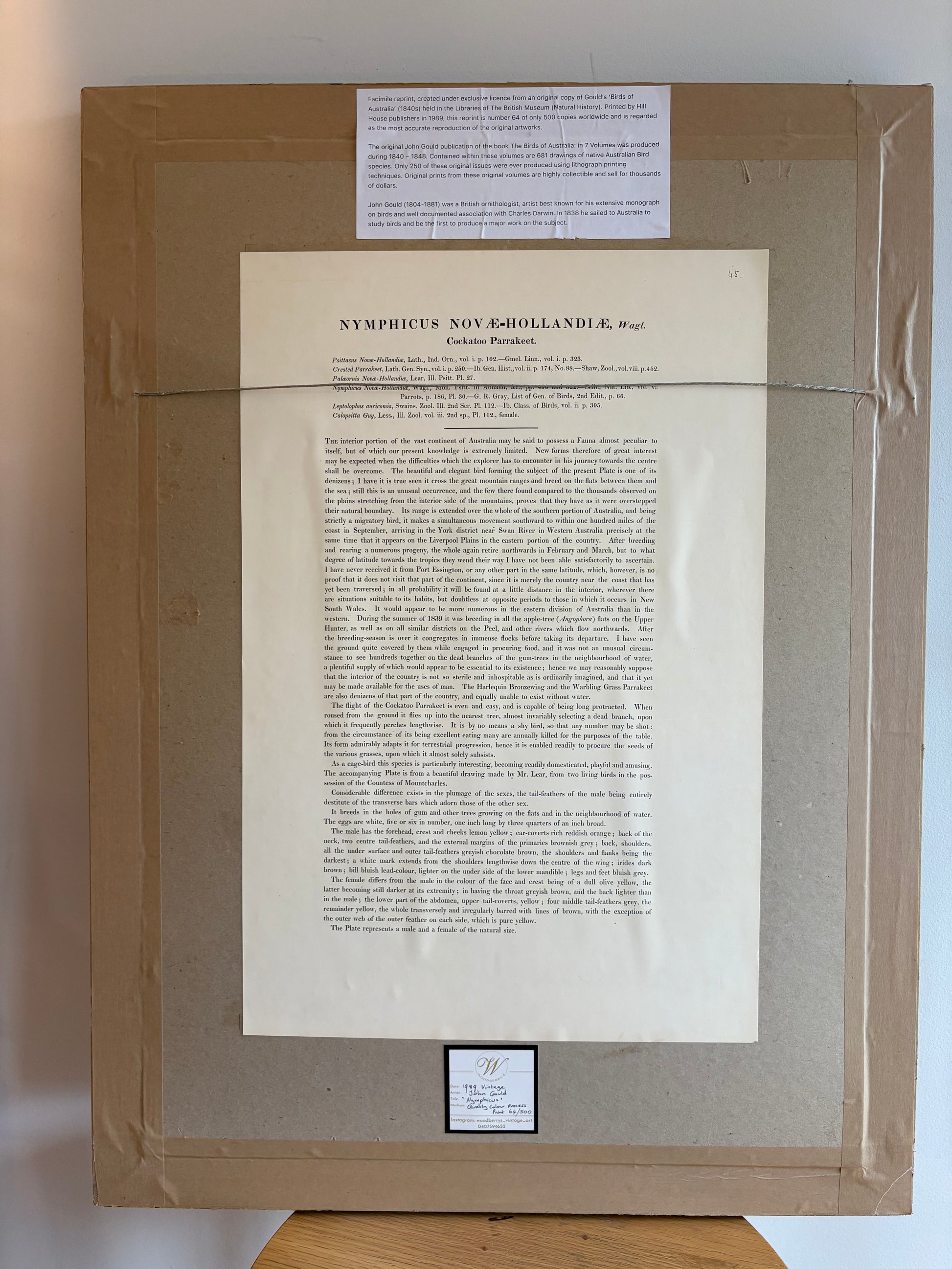 1989 Authentic limited Edition Gould print, Baraband's Cockatiel, vintage art