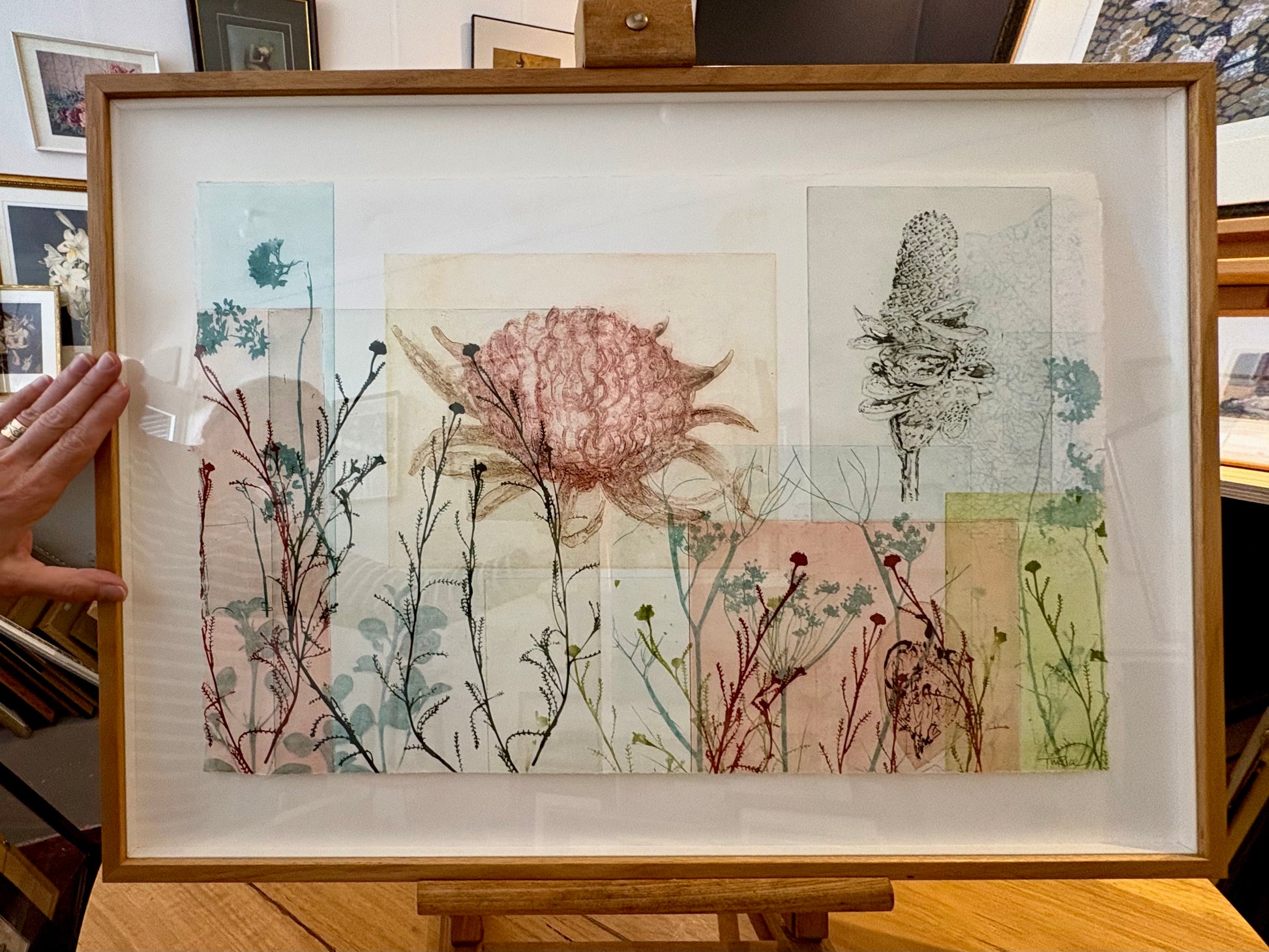 Original Trudy Rice botanical artwork, “Banksias”, signed, framed