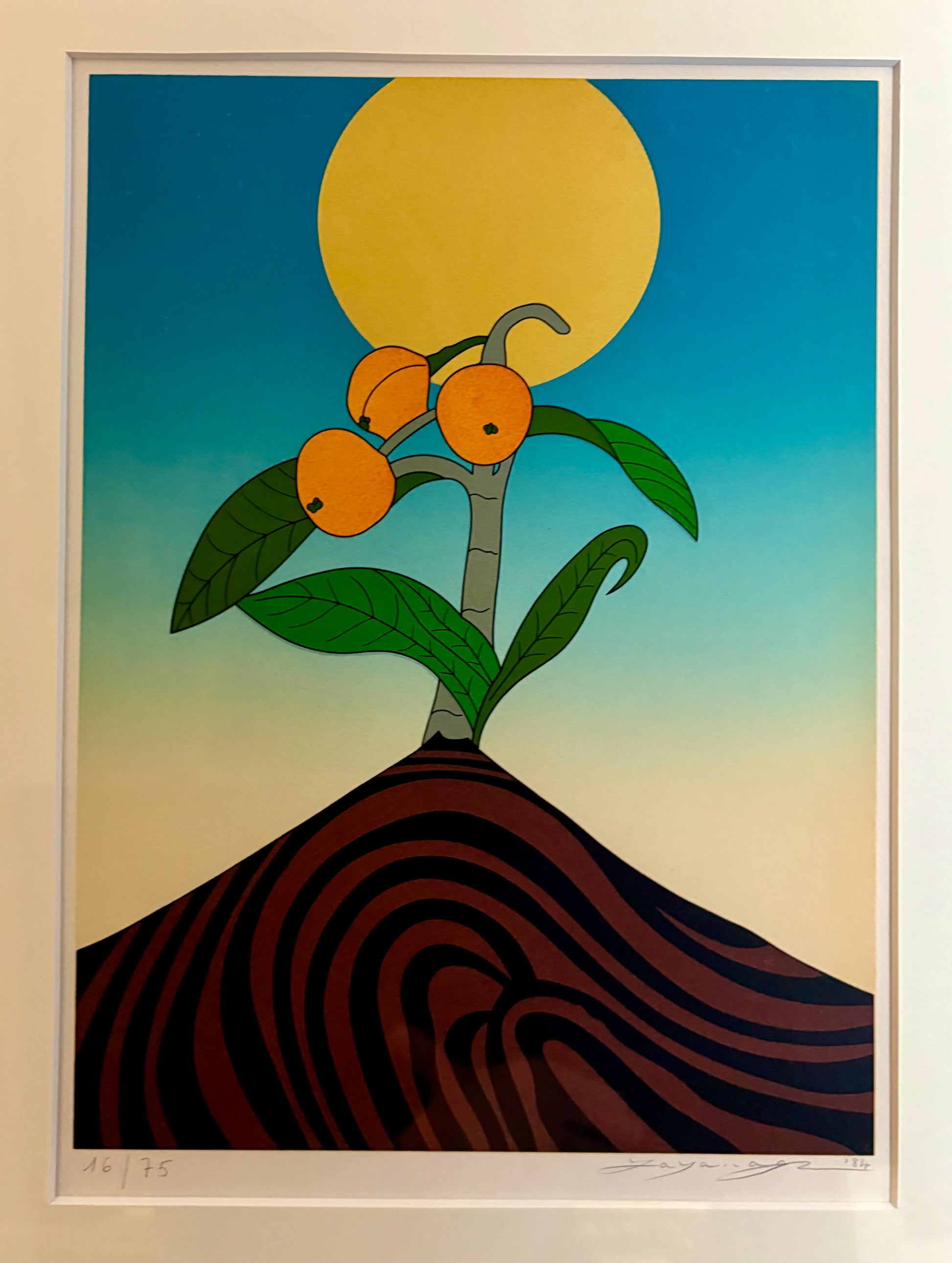 Original vintage Japanese screen print, Go Yayanagi, 16/75, framed art