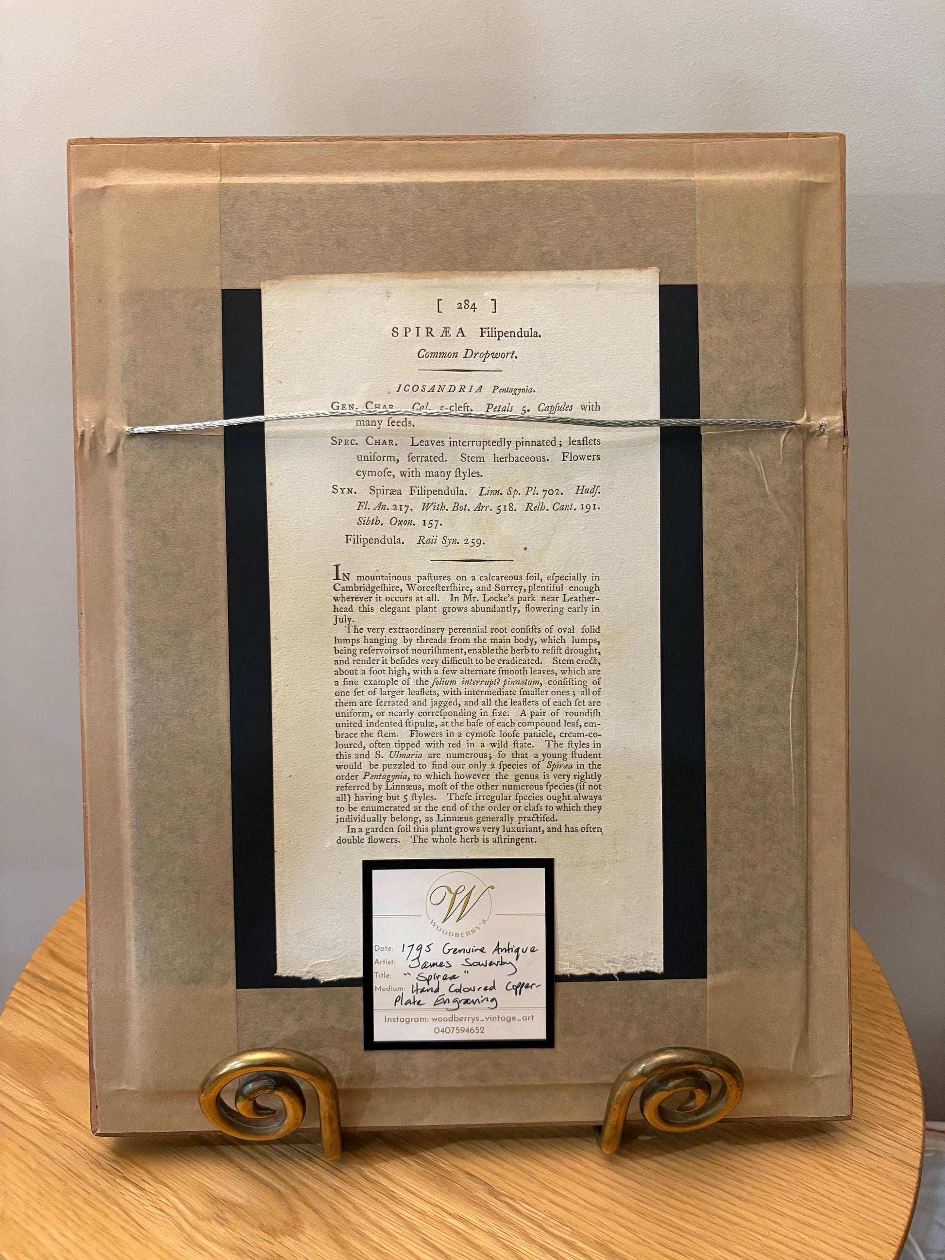 1795 Genuine antique botanical art engraving, hand painted, framed art, flower