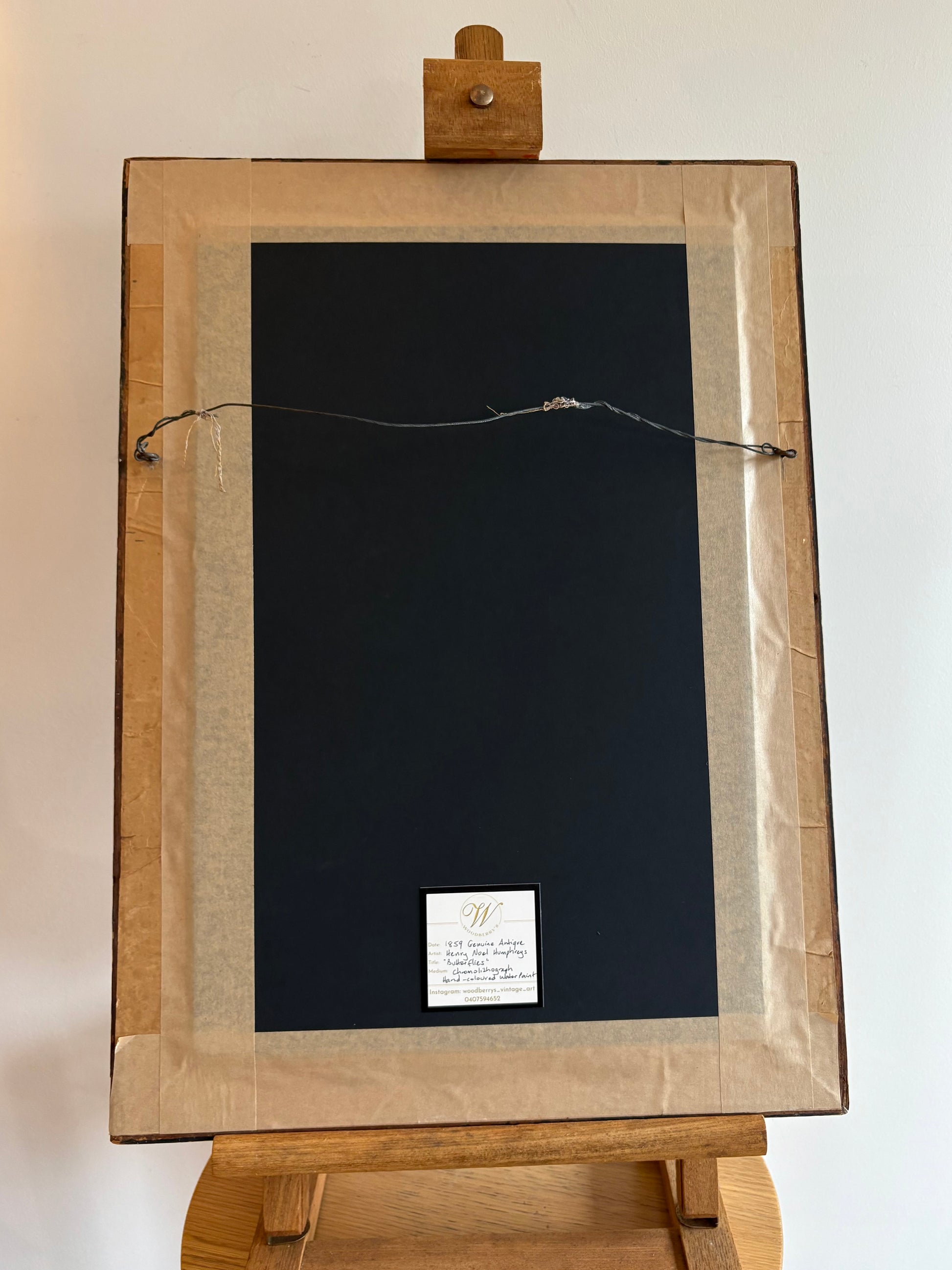 1840s Genuine antique butterfly lithograph with hand colouring, flowers, vintage framed art