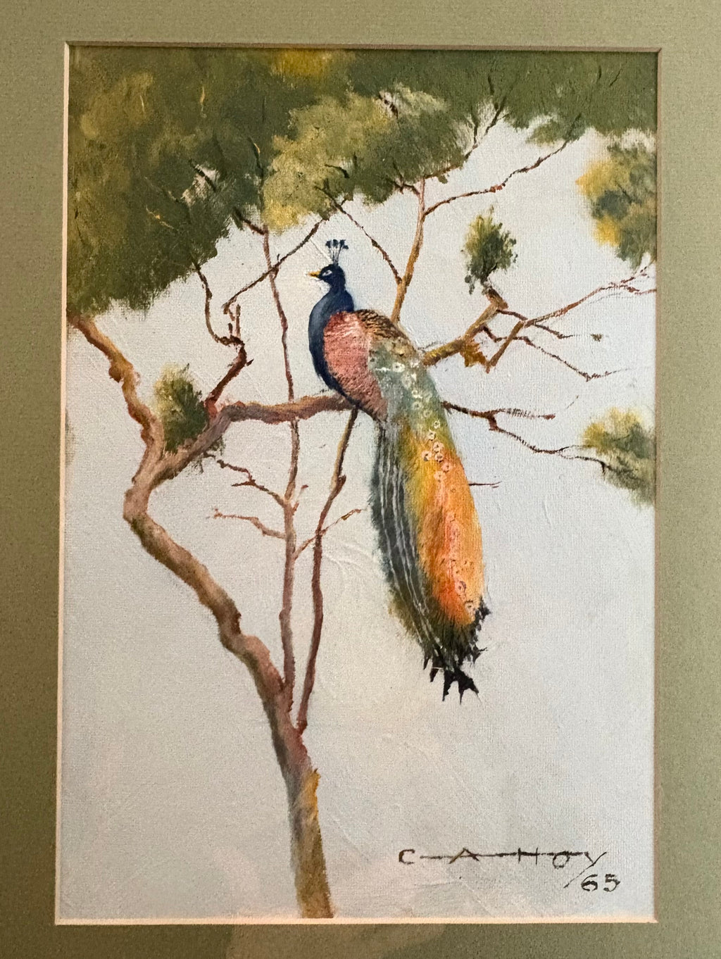 Original oil painting on board, signed, “Peacock”, vintage 1965, framed art.