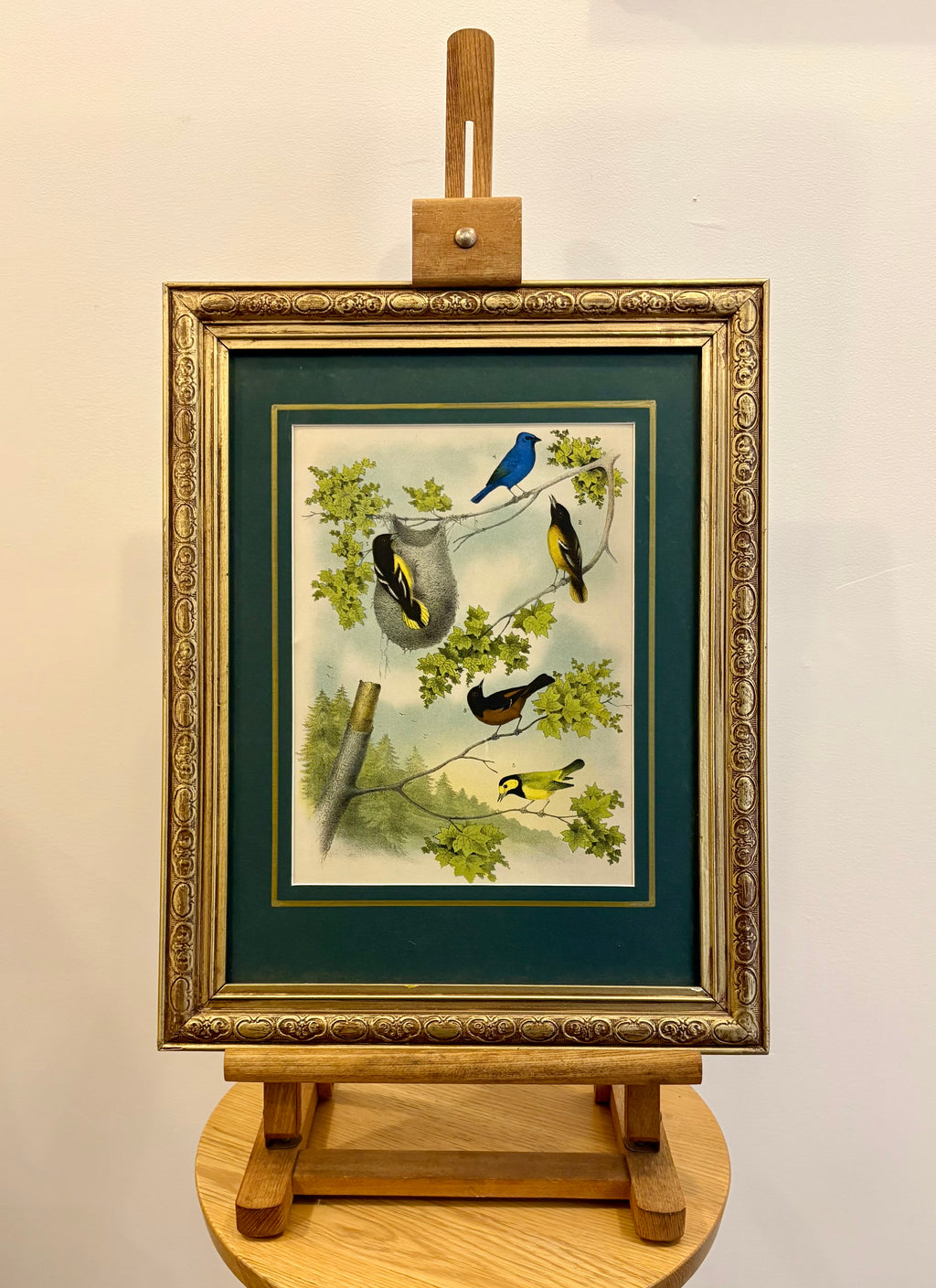 1870s Genuine antique, Birds, chromolithograph, gilt frame, original vintage art