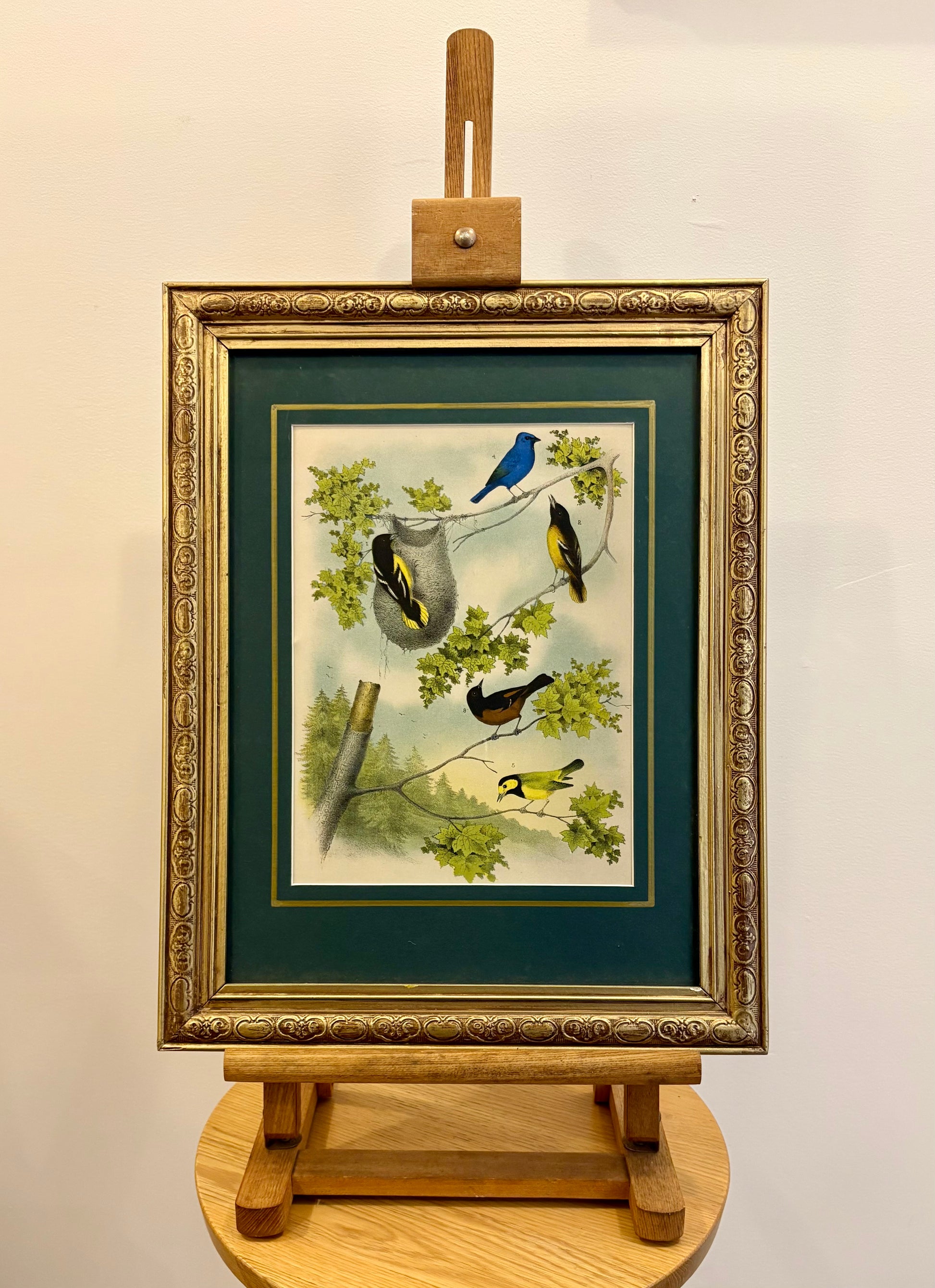 1870s Genuine antique, Birds, chromolithograph, gilt frame, original vintage art