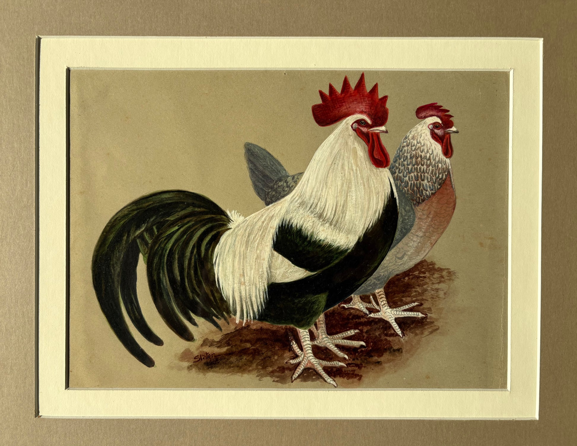 1930s original painting, Silver Dorking Fowl, rooster, chicken, framed vintage art