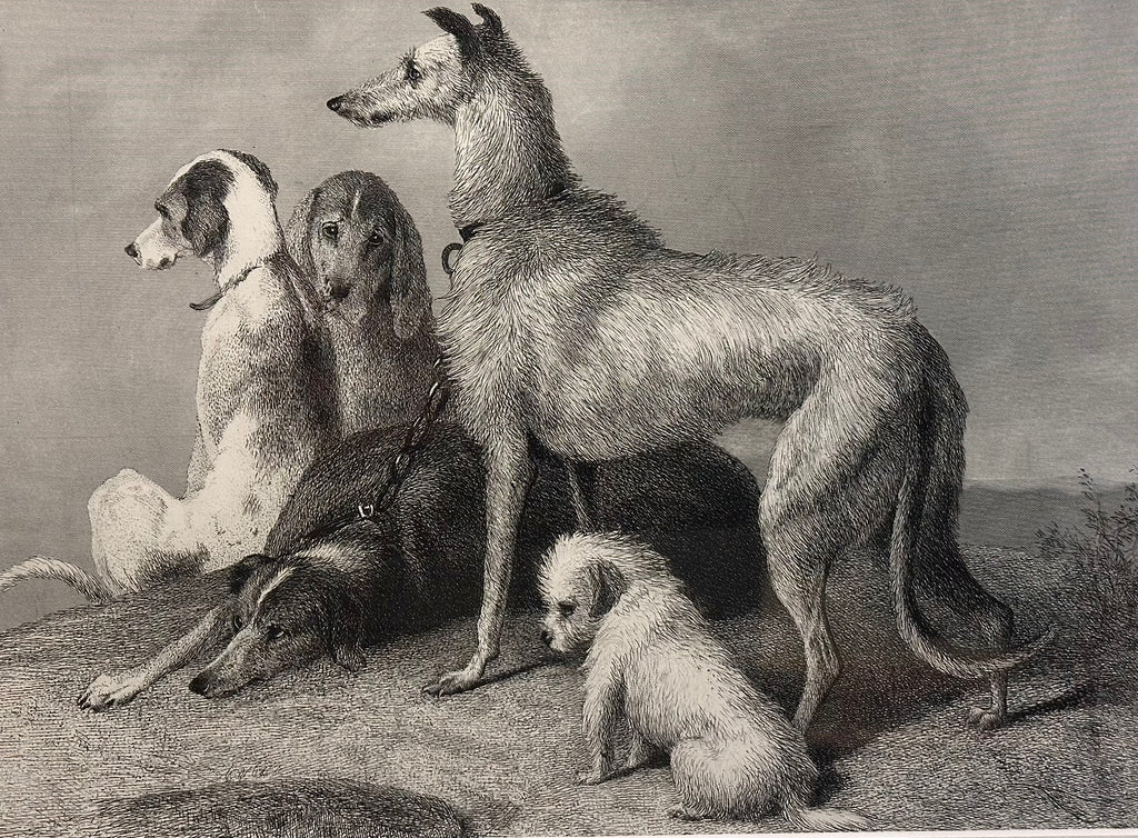 1870s antique engraving, Edwin Landseer, hunting dogs, framed art