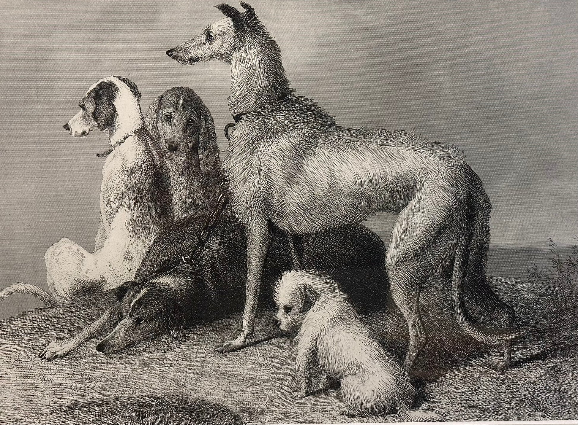 1870s antique engraving, Edwin Landseer, hunting dogs, framed art