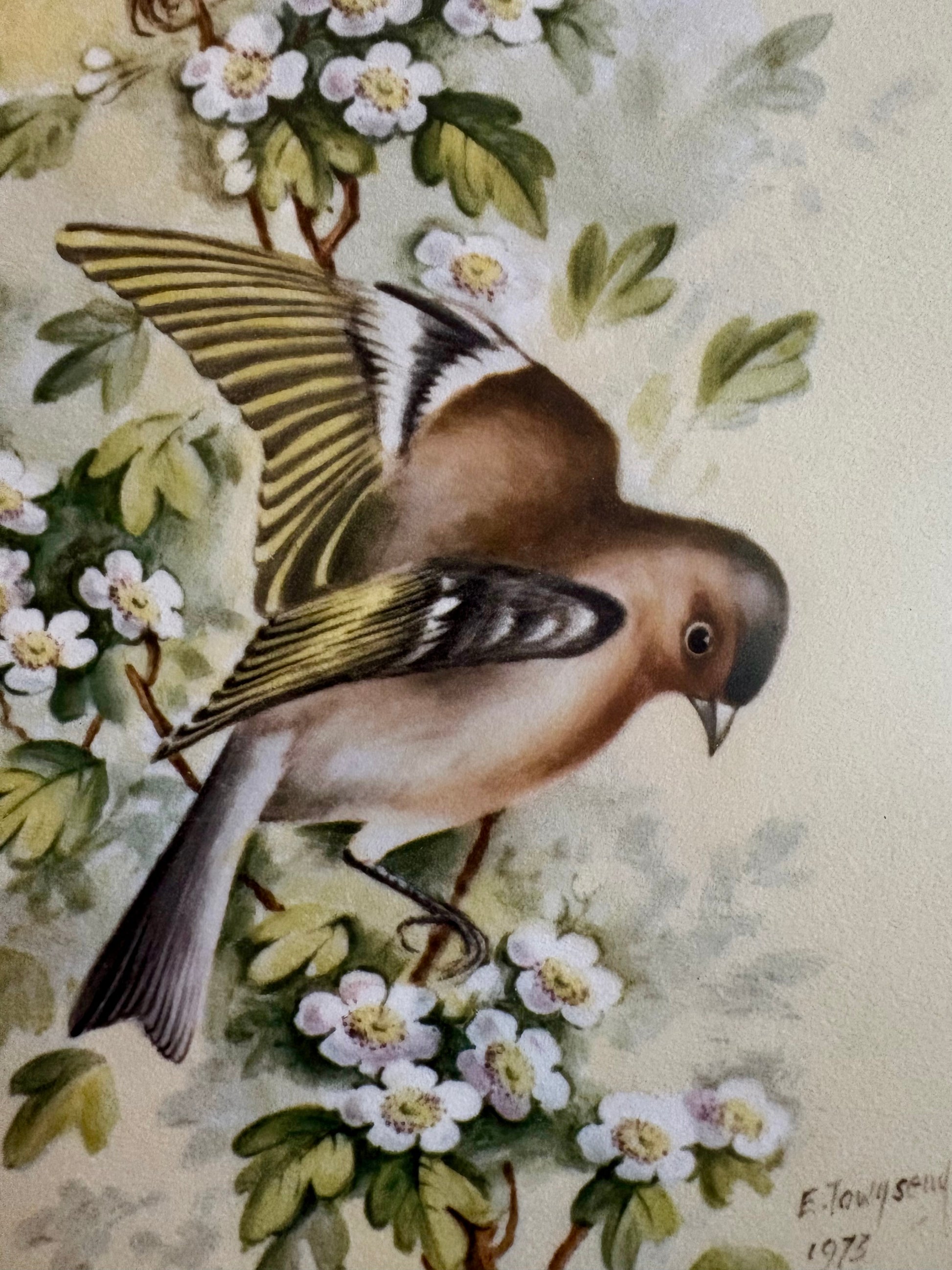 1975 Vintage limited edition print, Royal Worcester birds, framed art