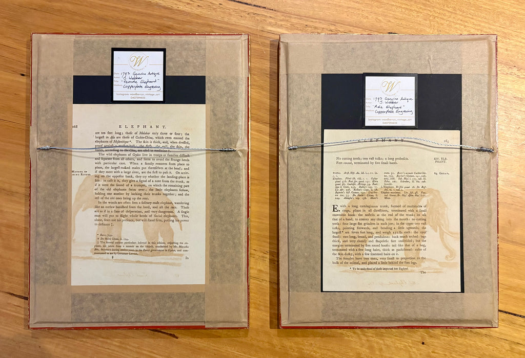 1793 Antique elephant engravings, J Webber, pair, framed vintage art