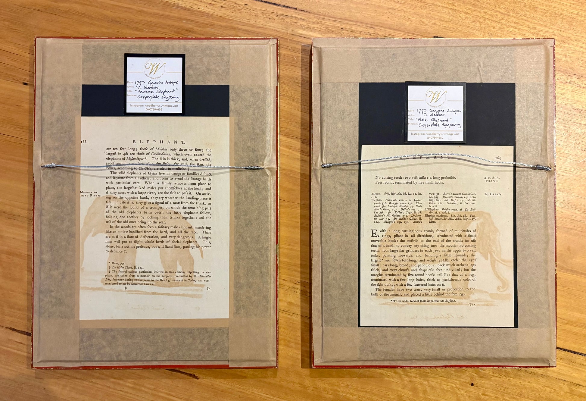 1793 Antique elephant engravings, J Webber, pair, framed vintage art