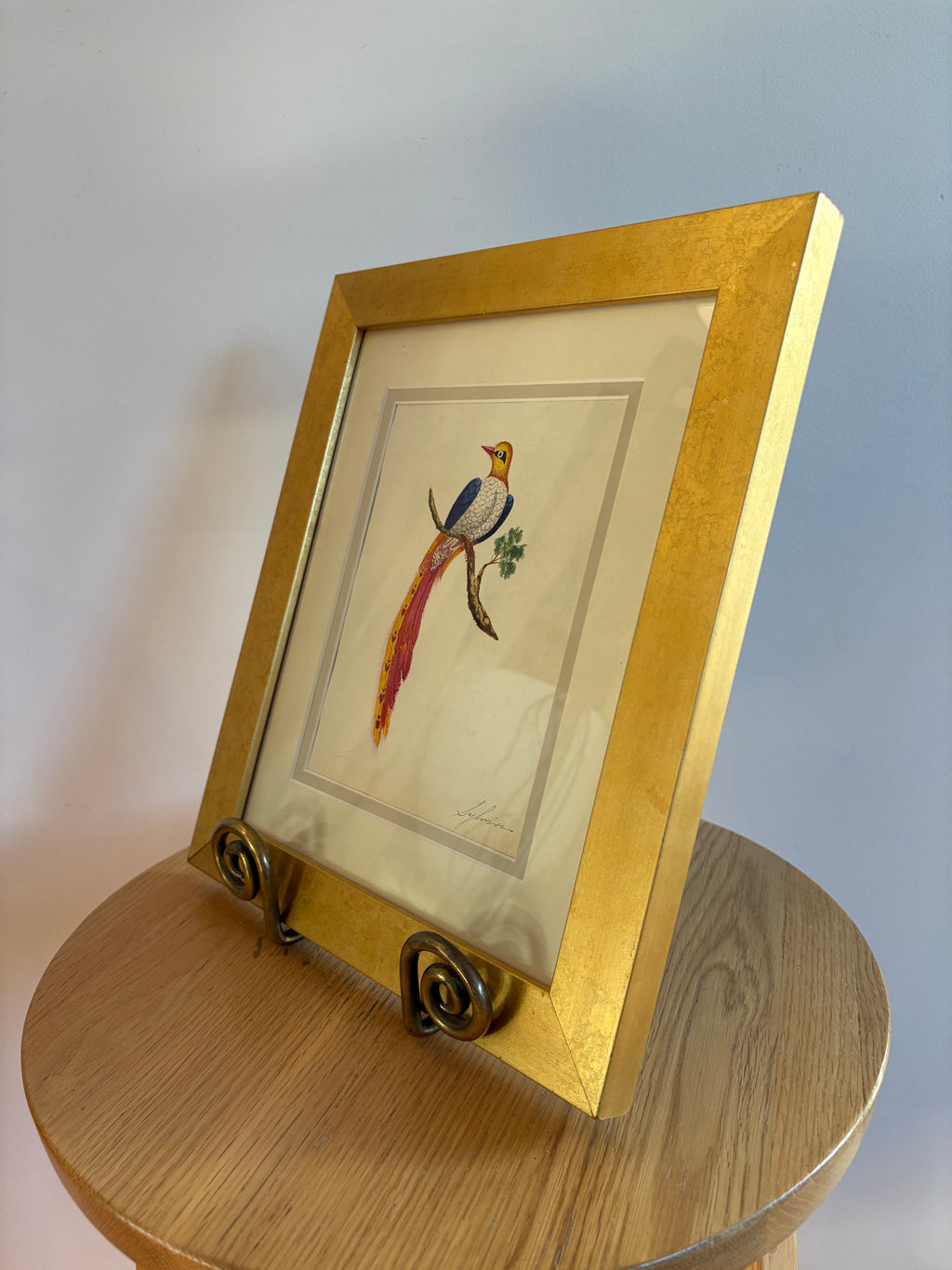 1830's Georgian original watercolour painting, Bird of Paradise, framed antique art