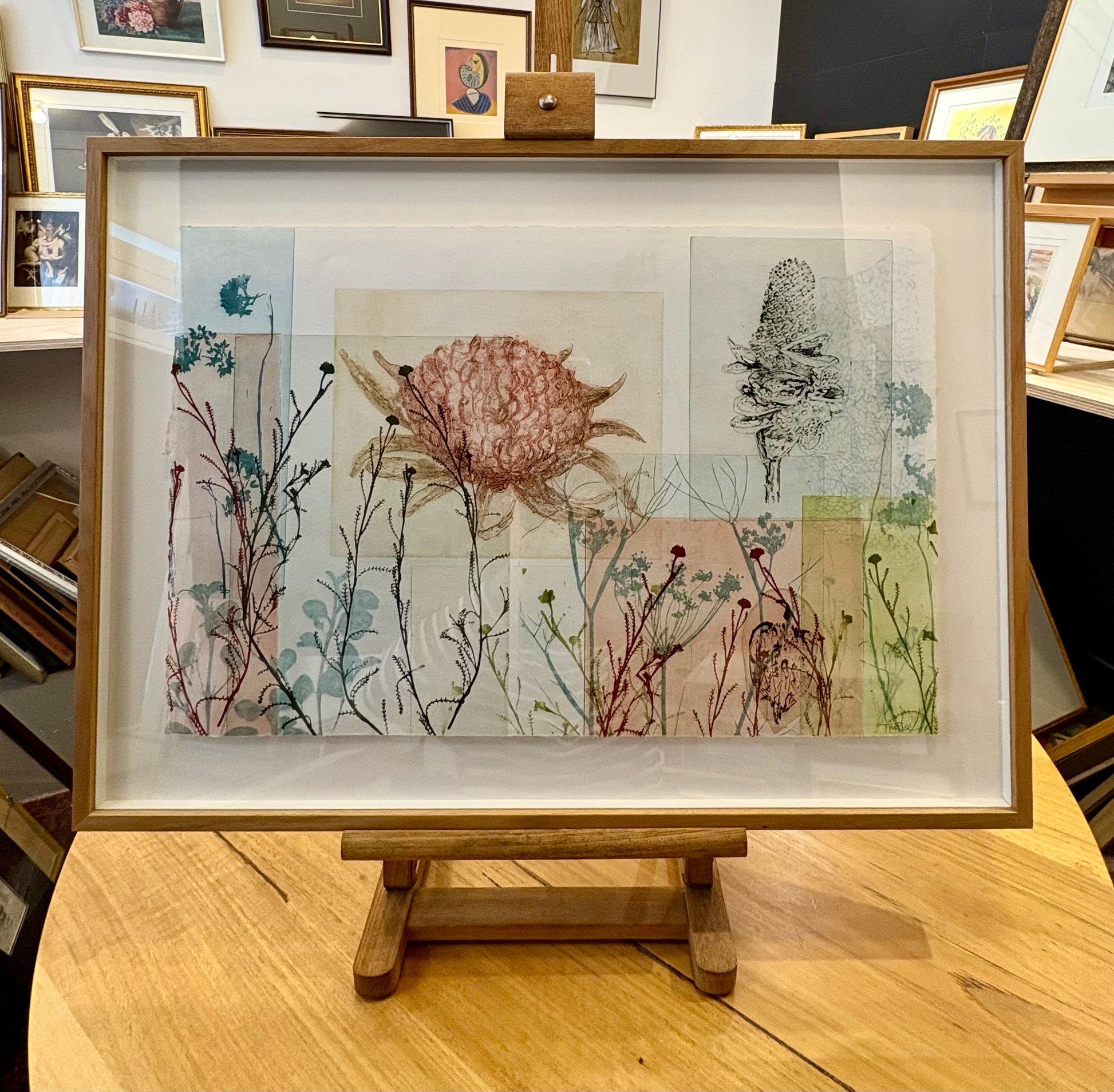 Original Trudy Rice botanical artwork, “Banksias”, signed, framed