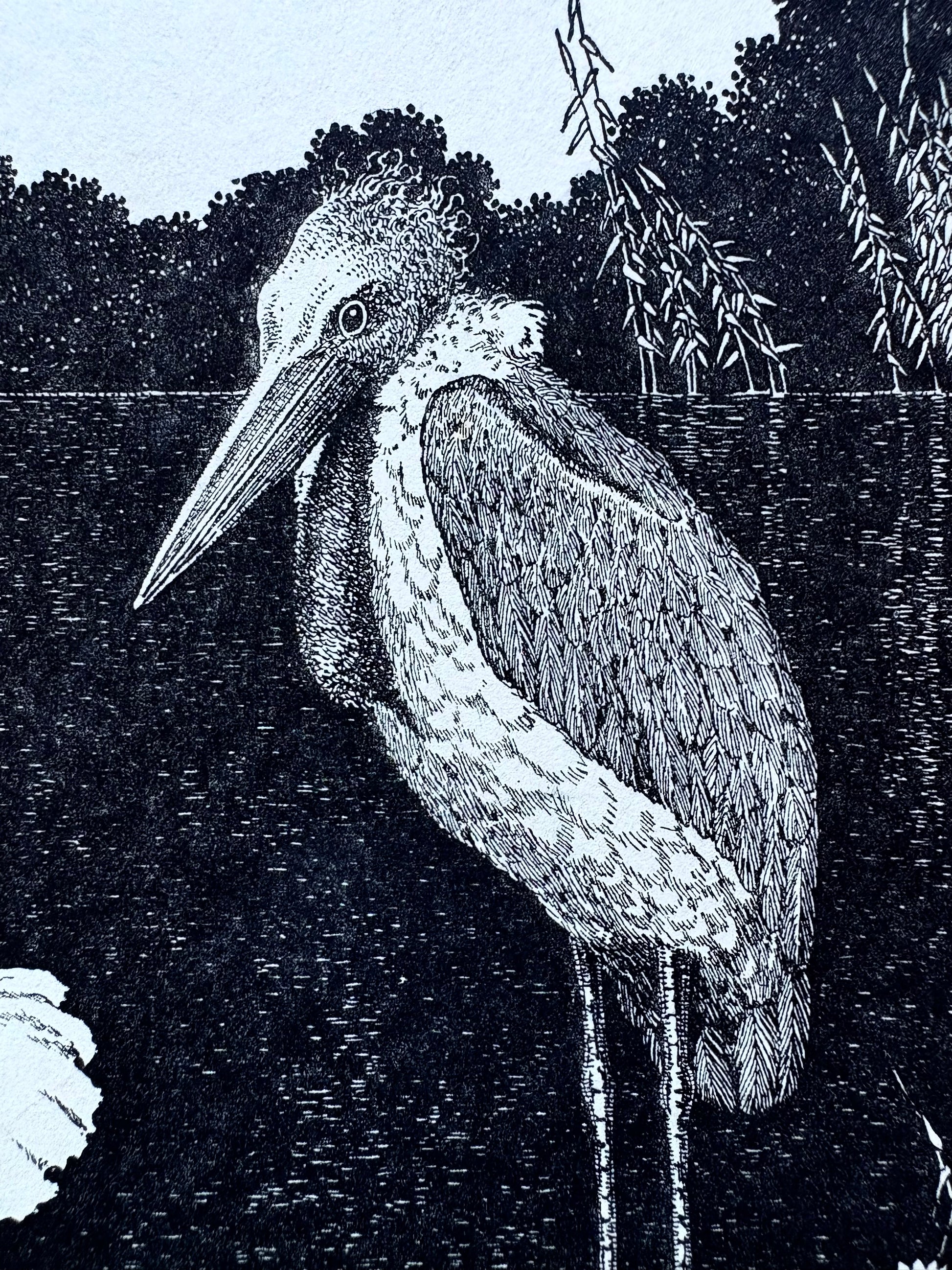 1931 Authentic antique Ida Rentoul Outhwaite print "Fairyland", 1st Edition UK,fairy, bird, art deco