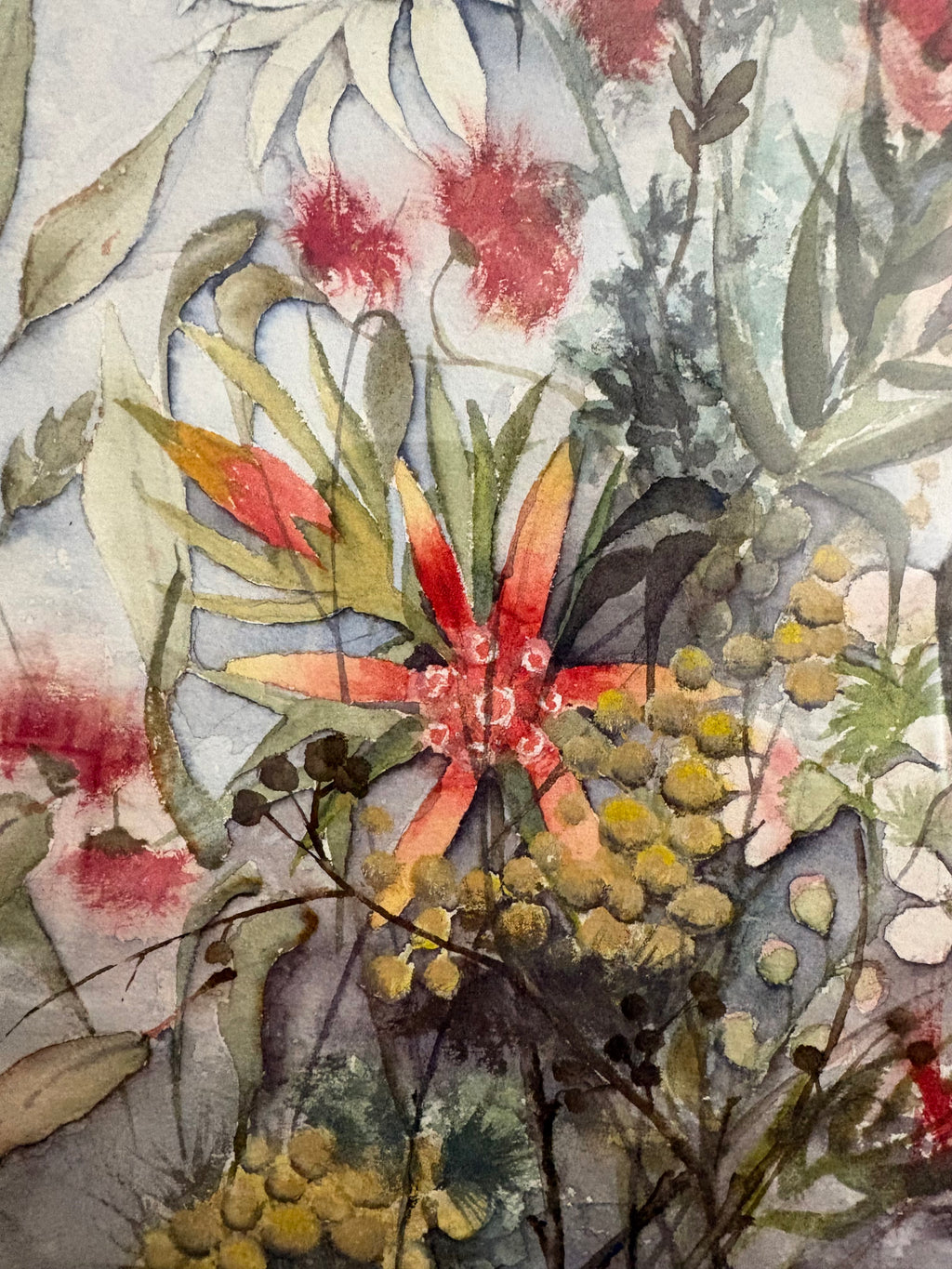 Original watercolour painting, native Australian flowers, Huon Pine frame, vintage