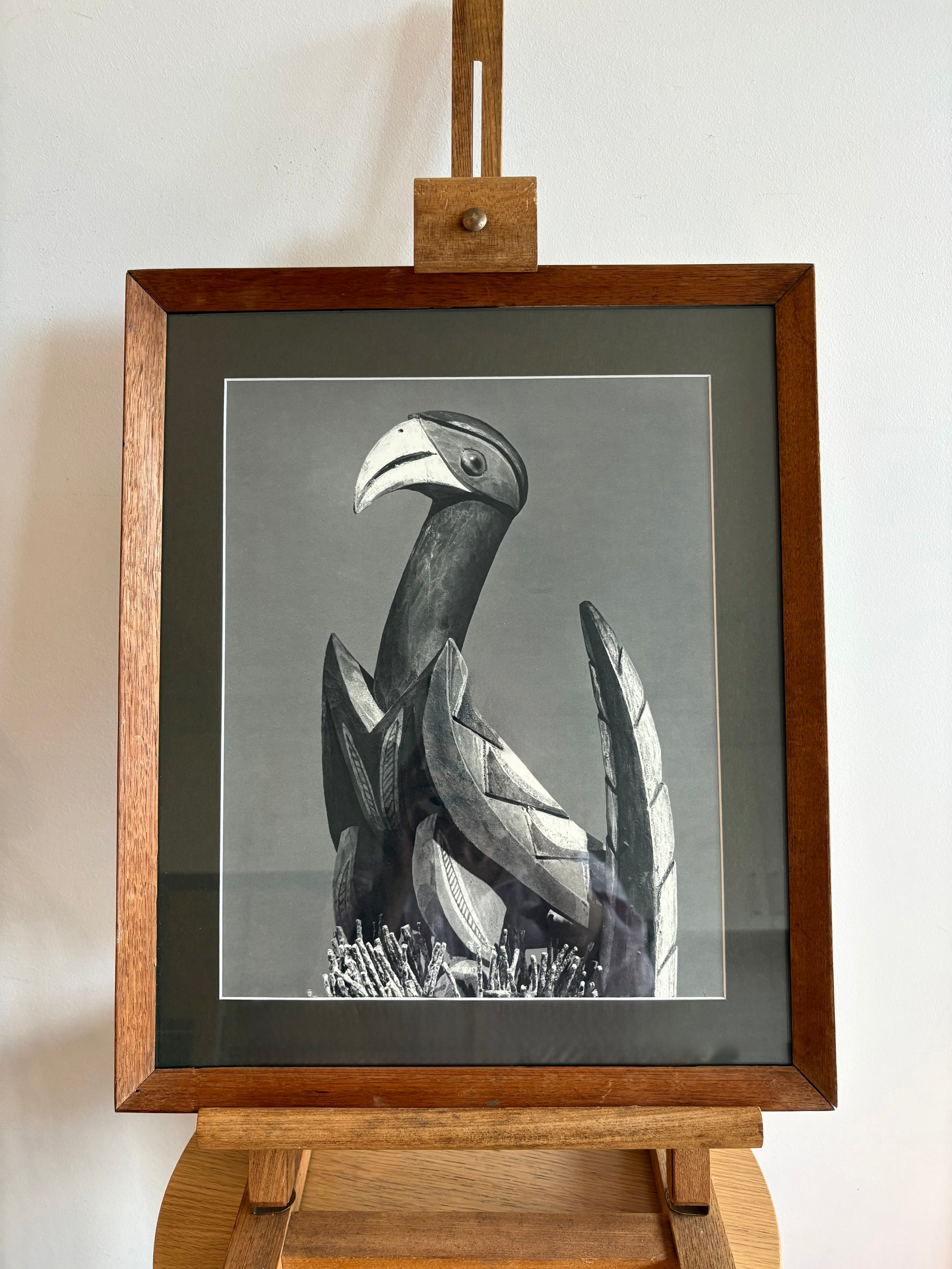 1962 vintage print, black and white photograph, mid century, bird, framed art