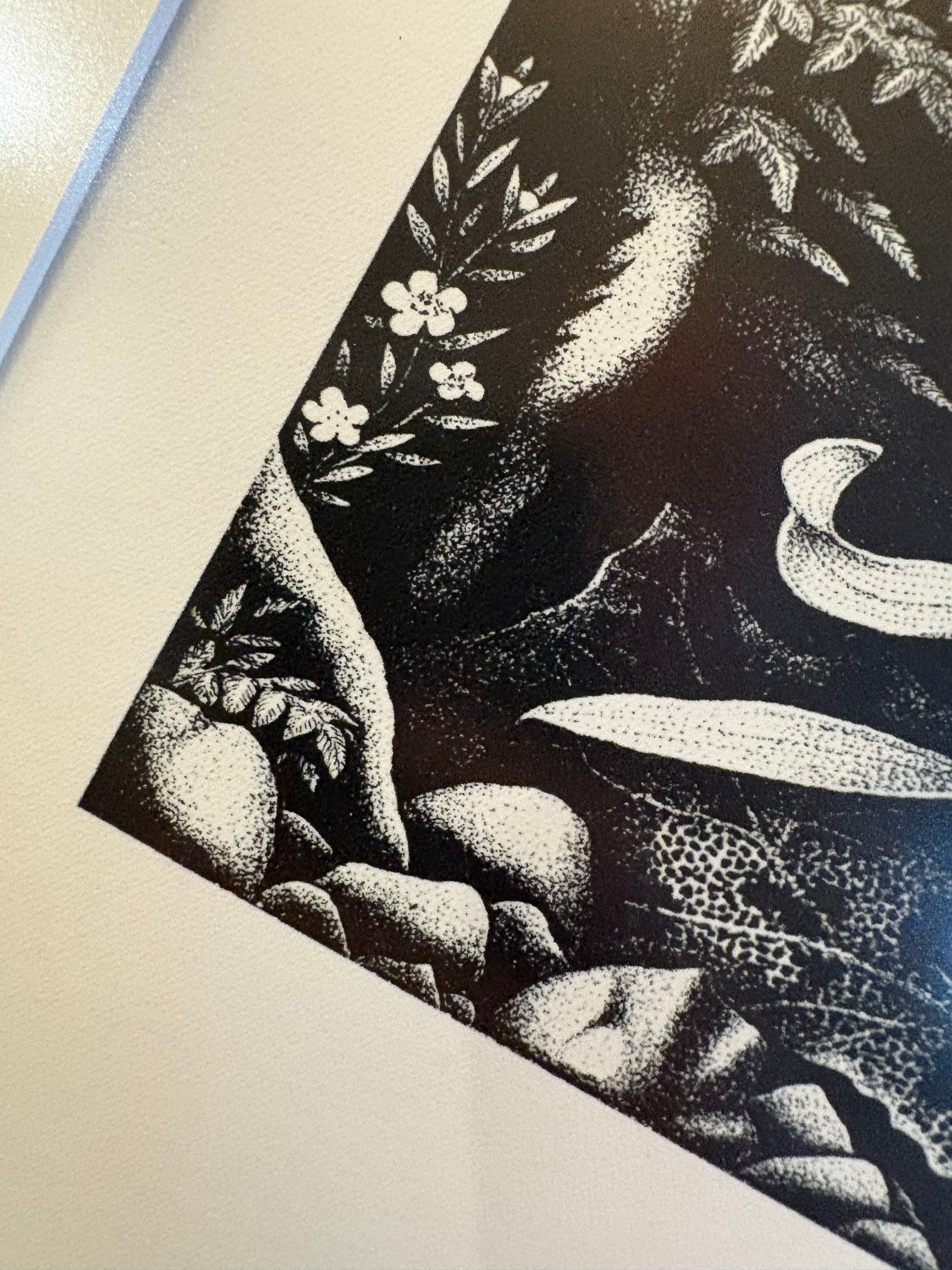 1977 Rei Hamon lithographic print, "Forest Prince (Kauri)", New Zealand, framed art