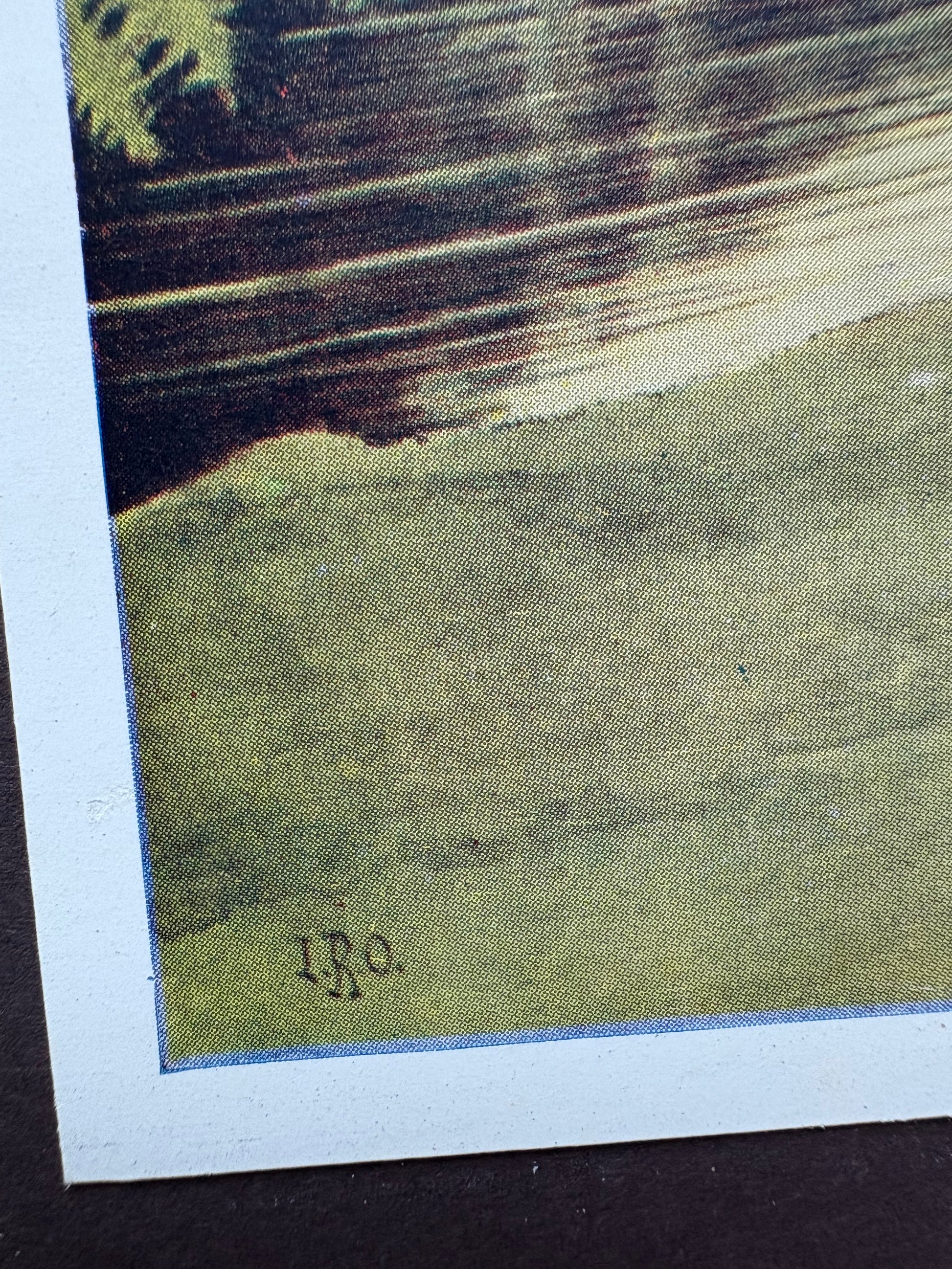 1931 Authentic antique Ida Rentoul Outhwaite print "Fairyland", 1st Edition UK, koalas, elves