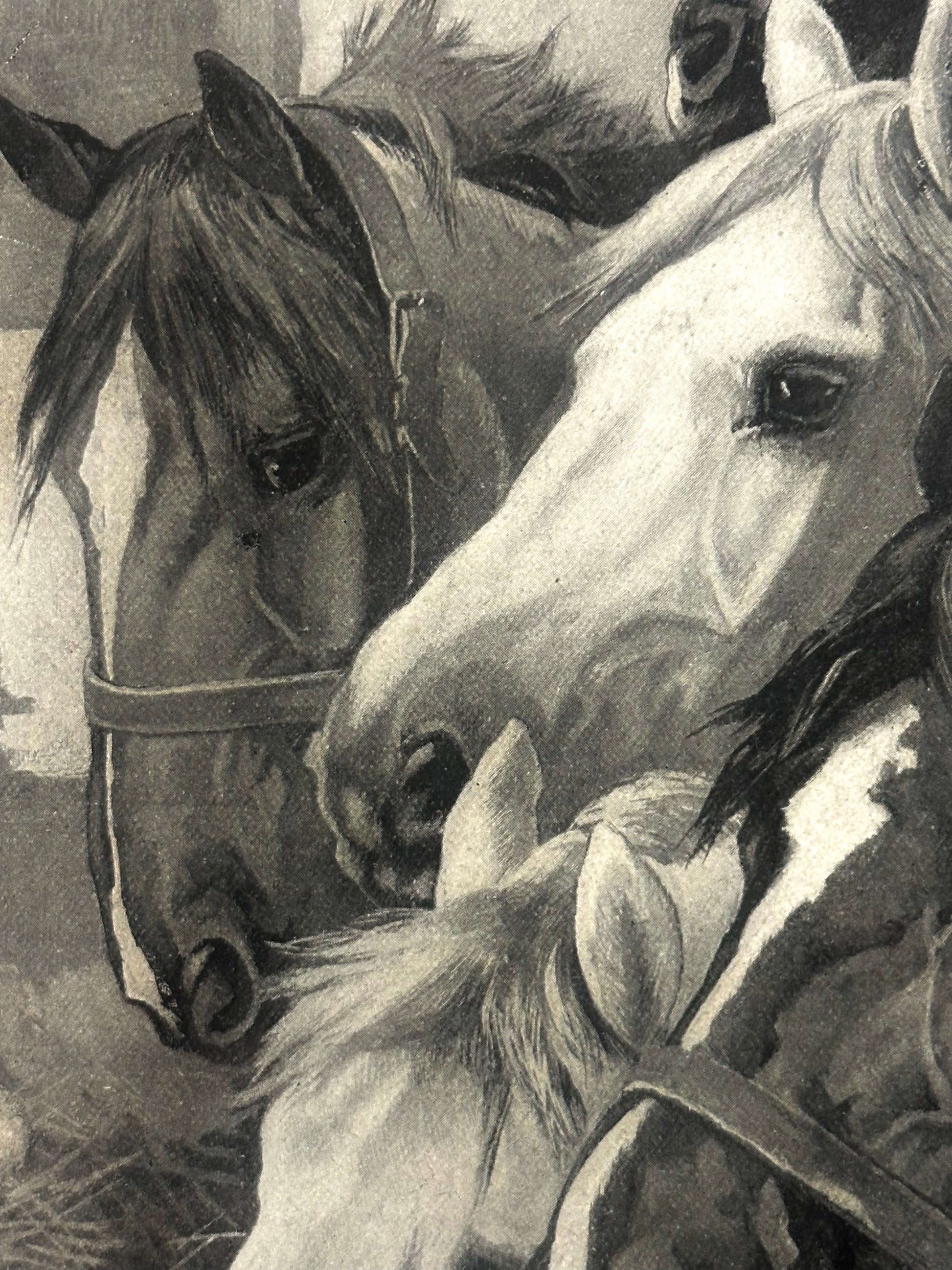1906 Antique print, horses, FW Burton, oak framed artwork