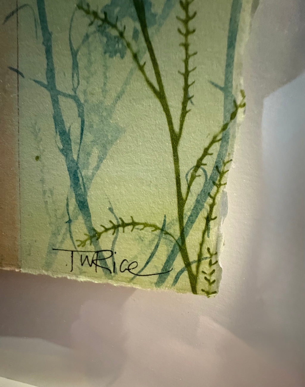 Original Trudy Rice botanical artwork, “Banksias”, signed, framed