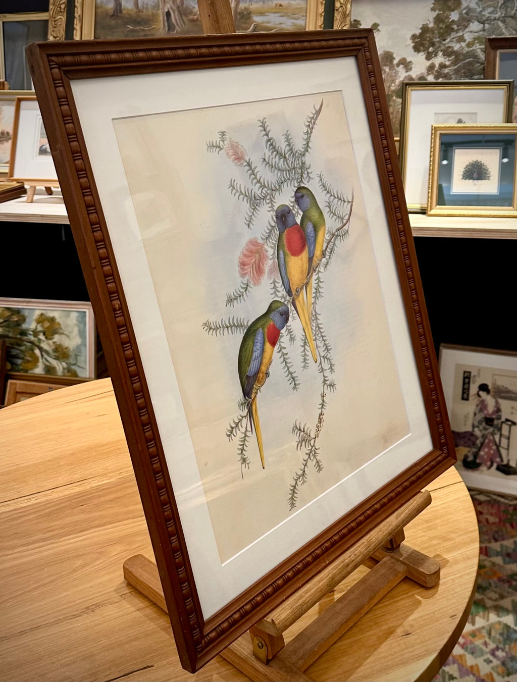 1989 Authentic limited Edition Gould print, Parakeet, vintage art