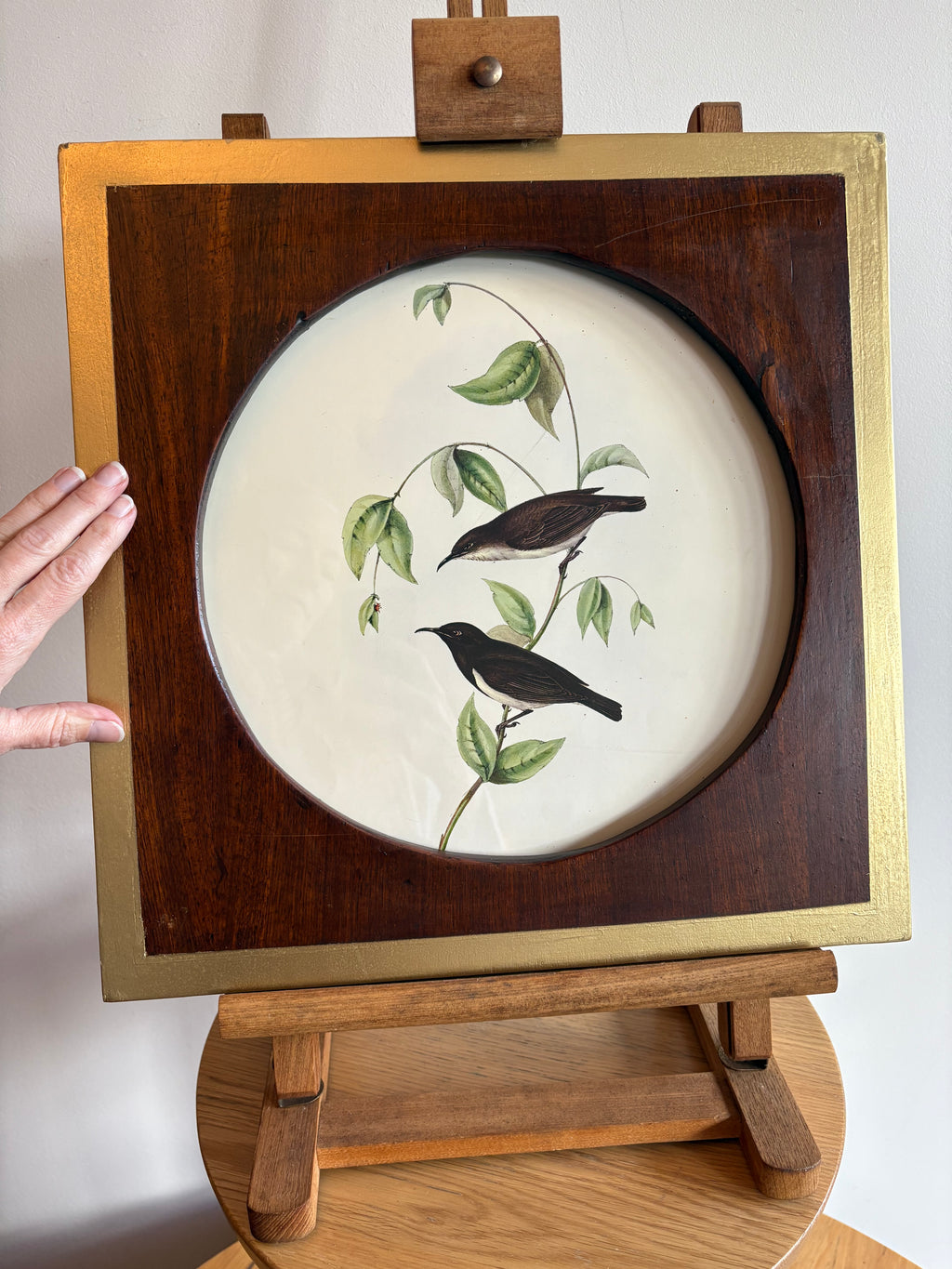 Gould "Birds of Australia" 1972 print of honeyeaters and bee, antique round wood frame